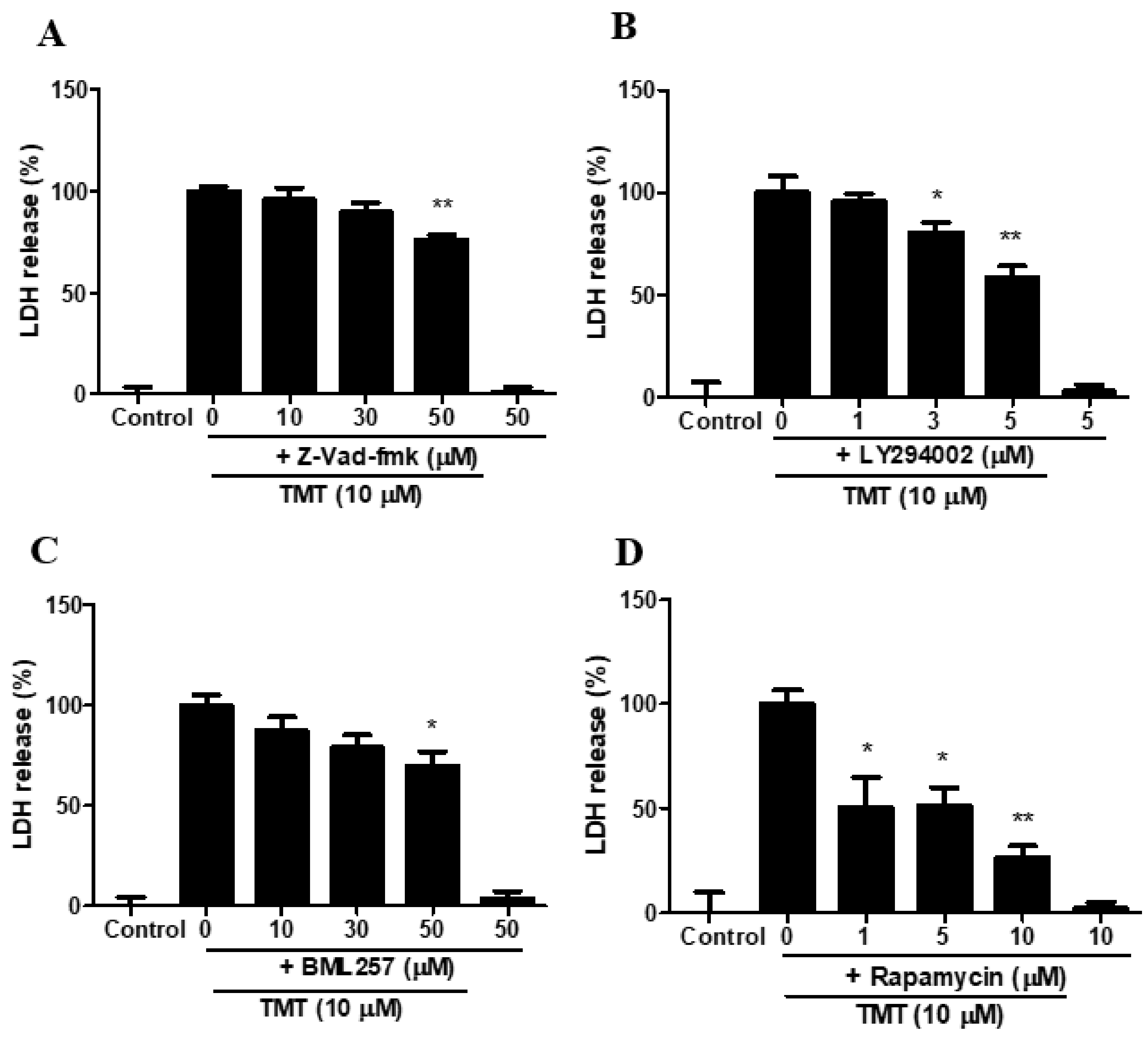 Brainsci 11 01116 g011 Brainsci 11 01116 g011