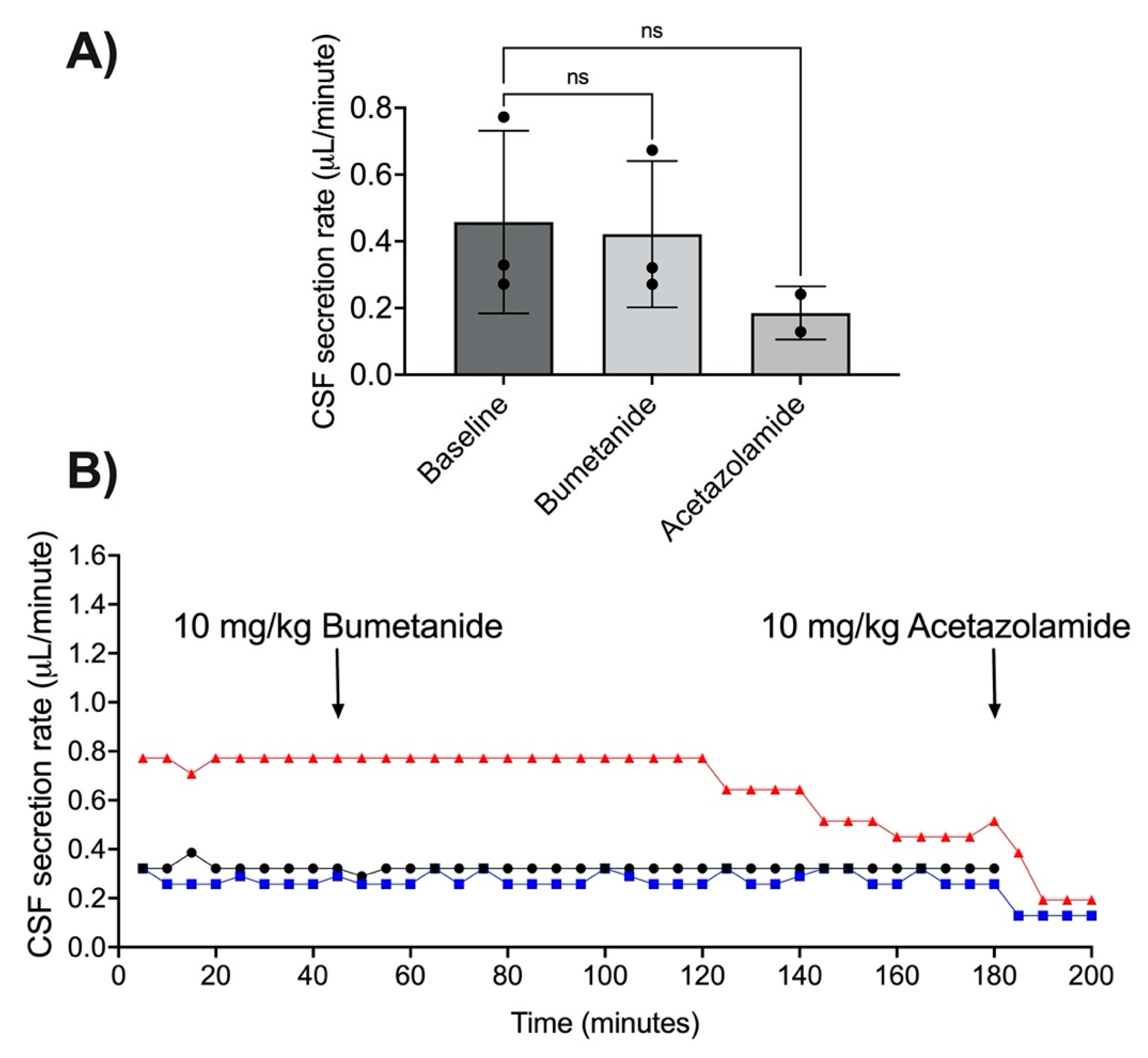 Brainsci 11 01117 g002