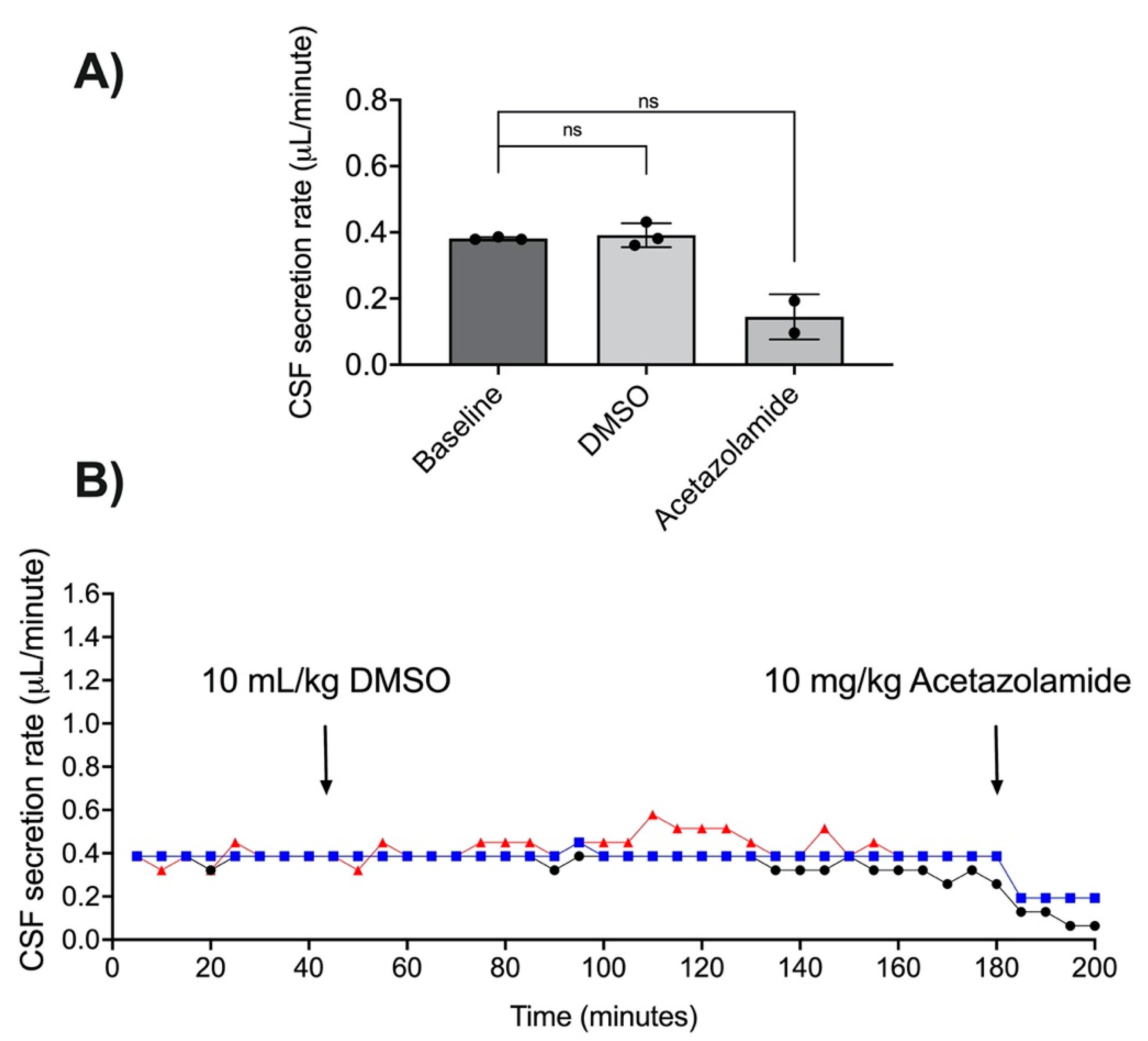 Brainsci 11 01117 g004