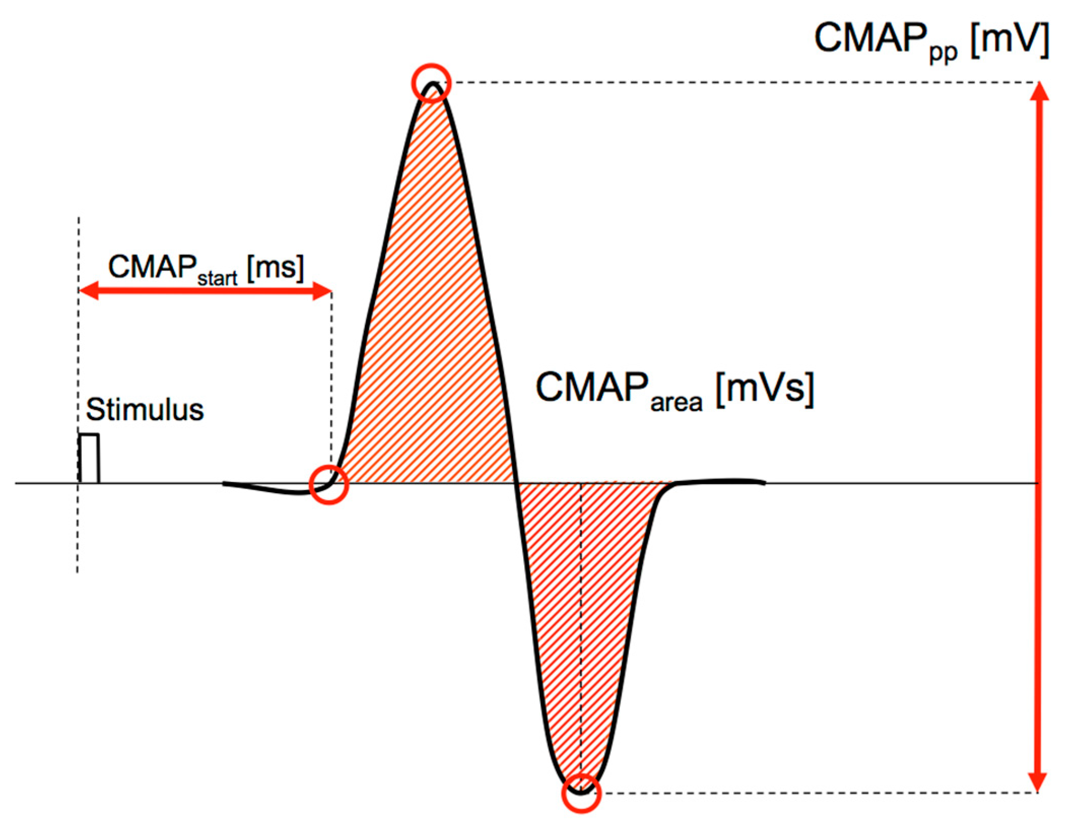Brainsci 11 01118 g004
