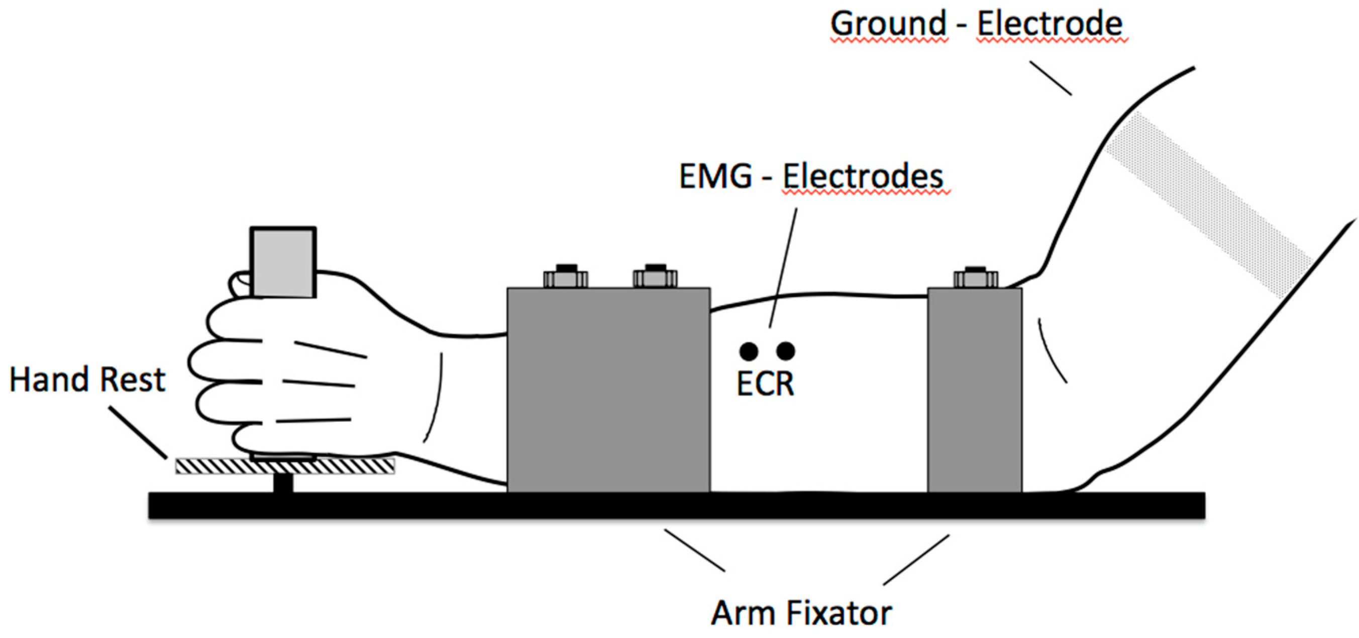 Brainsci 11 01118 g005a