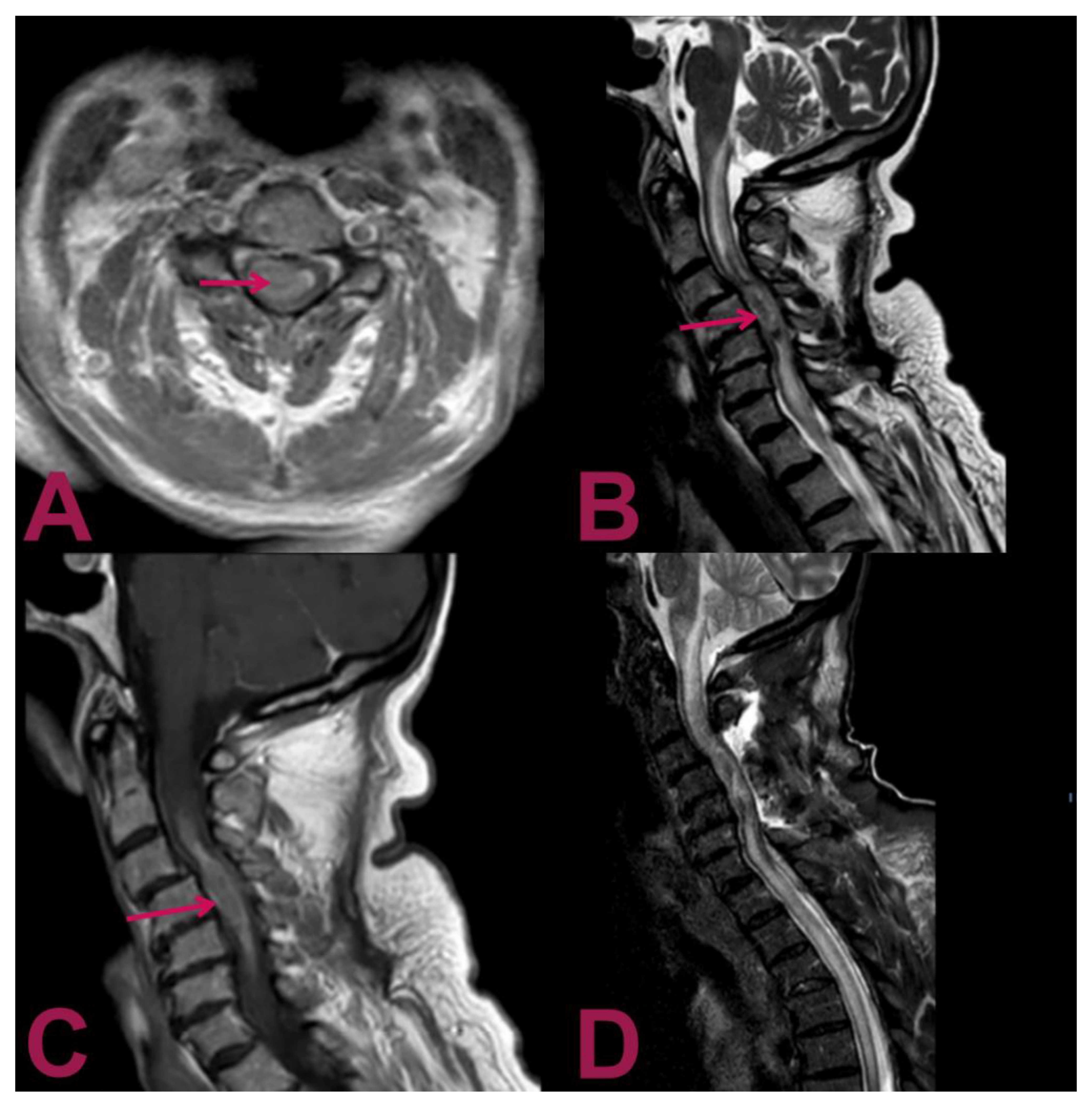 Brainsci 11 01124 g001 Brainsci 11 01124 g001
