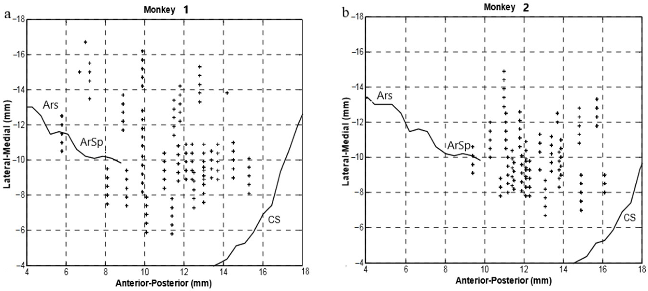 Brainsci 11 01125 g001 550