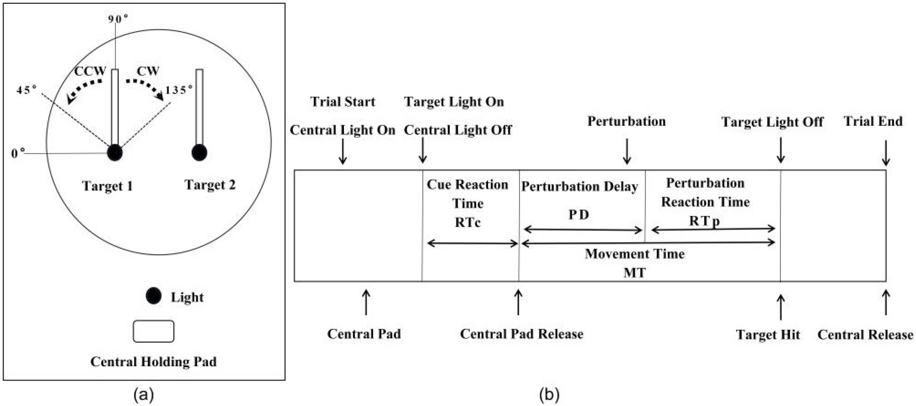 Brainsci 11 01125 g002 550