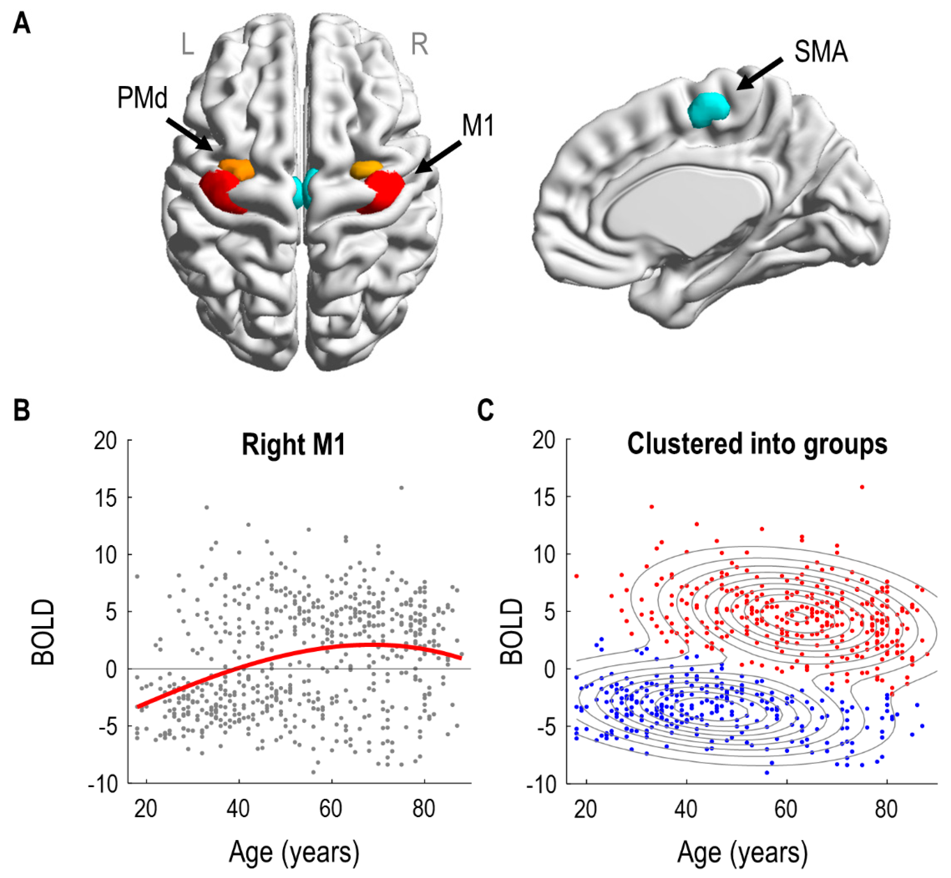 Brainsci 11 01130 g001 550