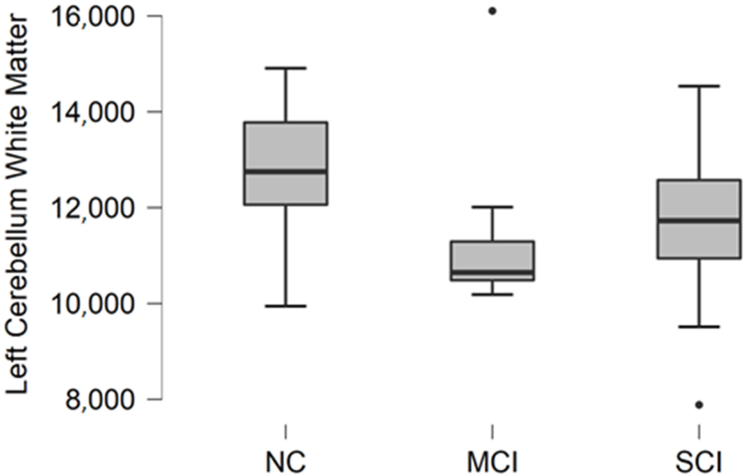 Brainsci 11 01134 g001