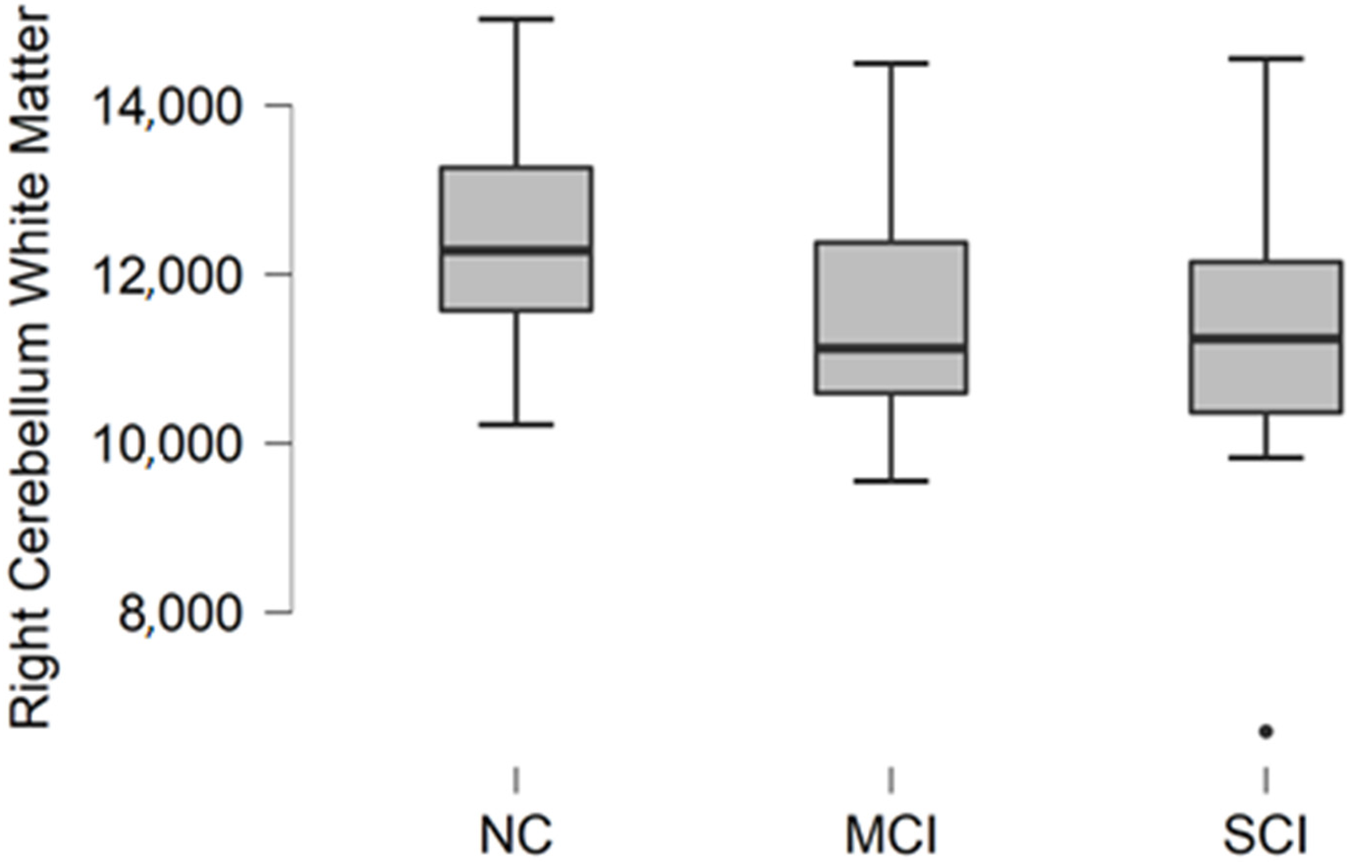 Brainsci 11 01134 g003