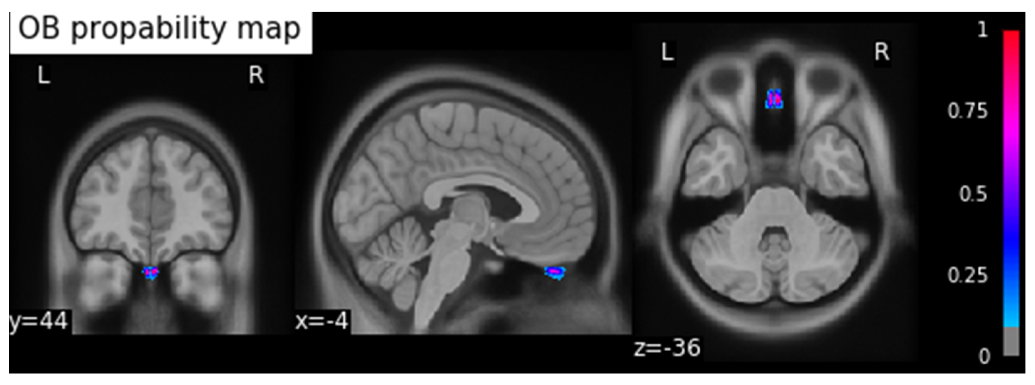 Brainsci 11 01141 g001 550
