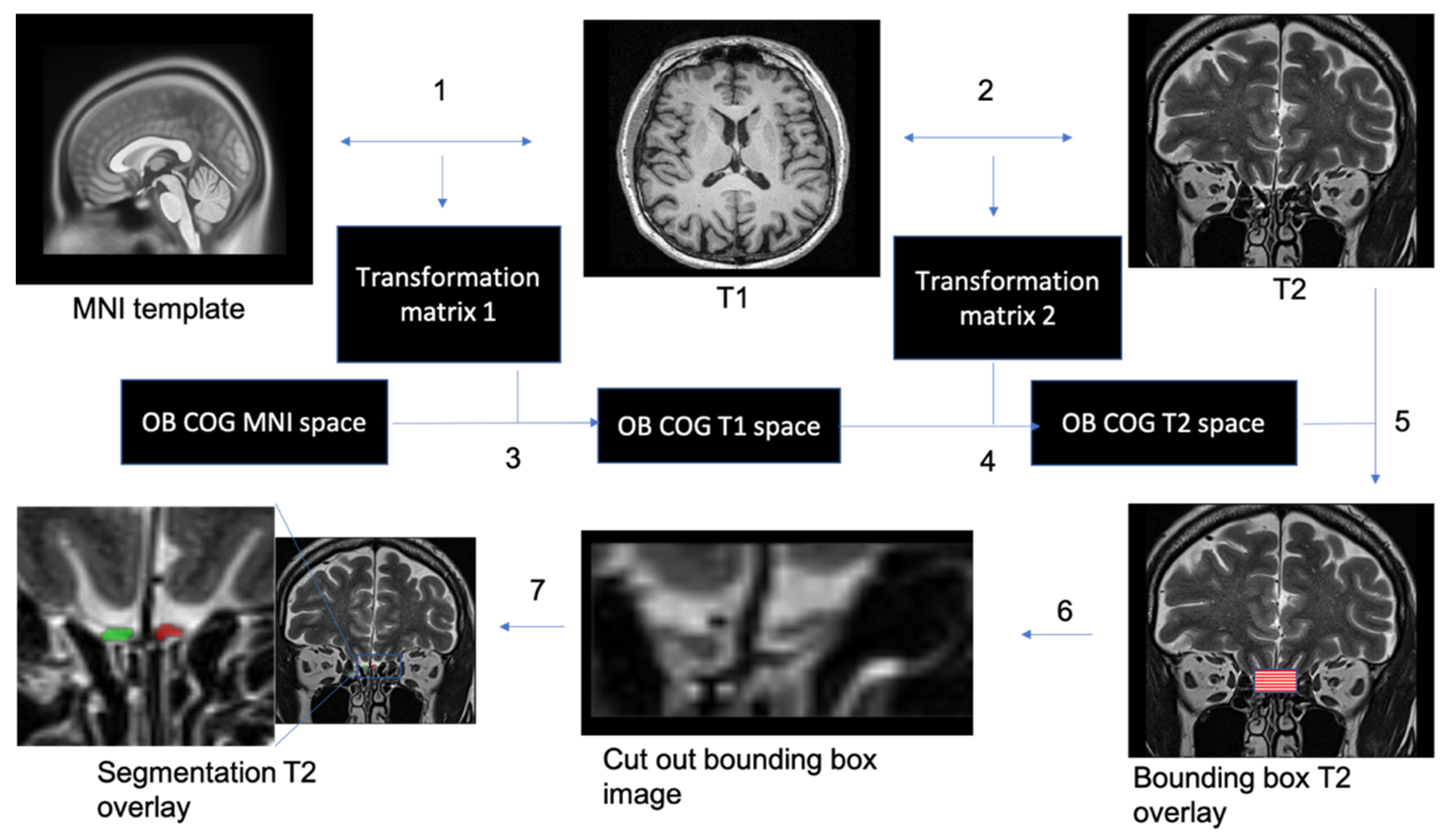 Brainsci 11 01141 g002 550