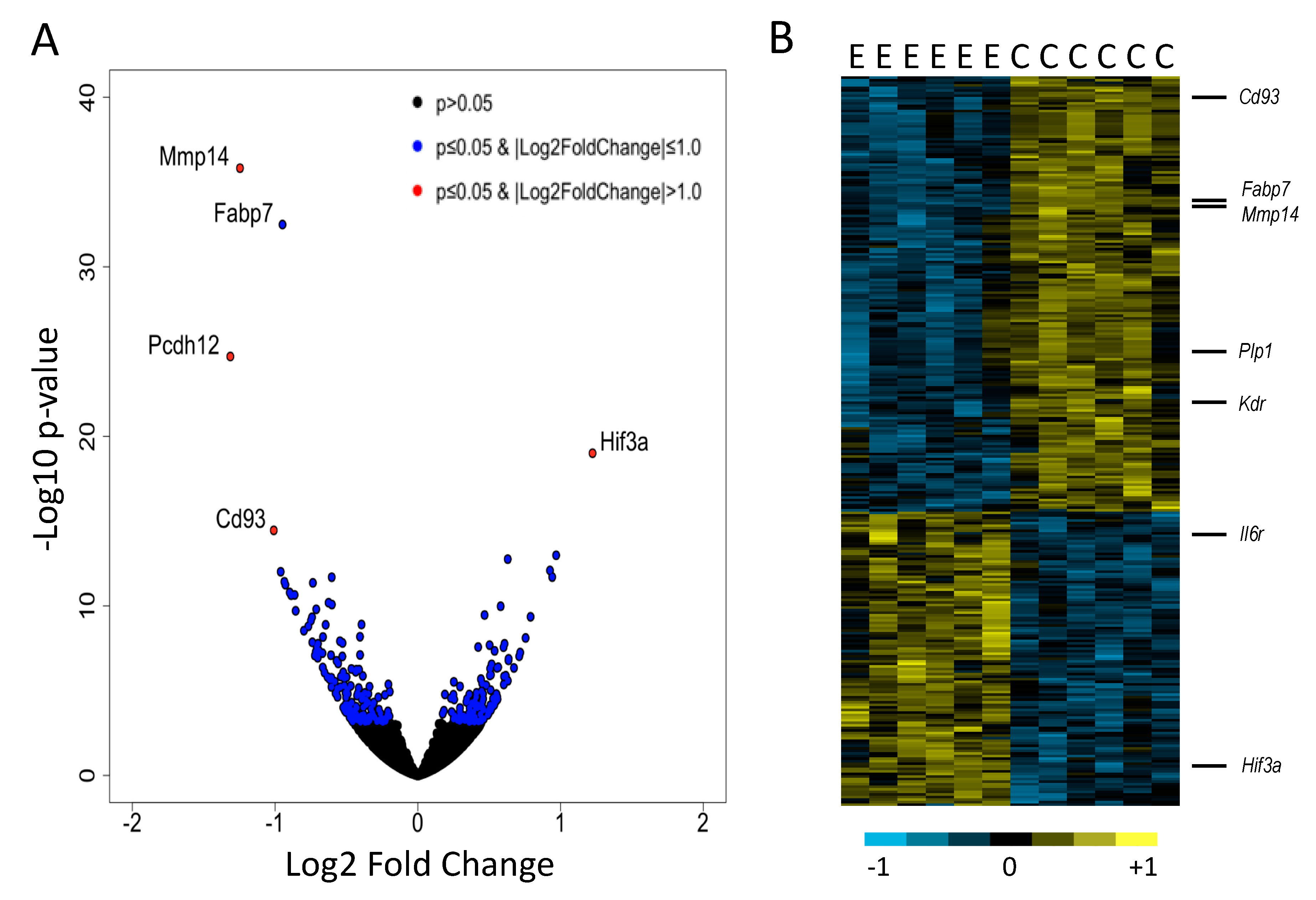 Brainsci 11 01149 g001 Brainsci 11 01149 g001