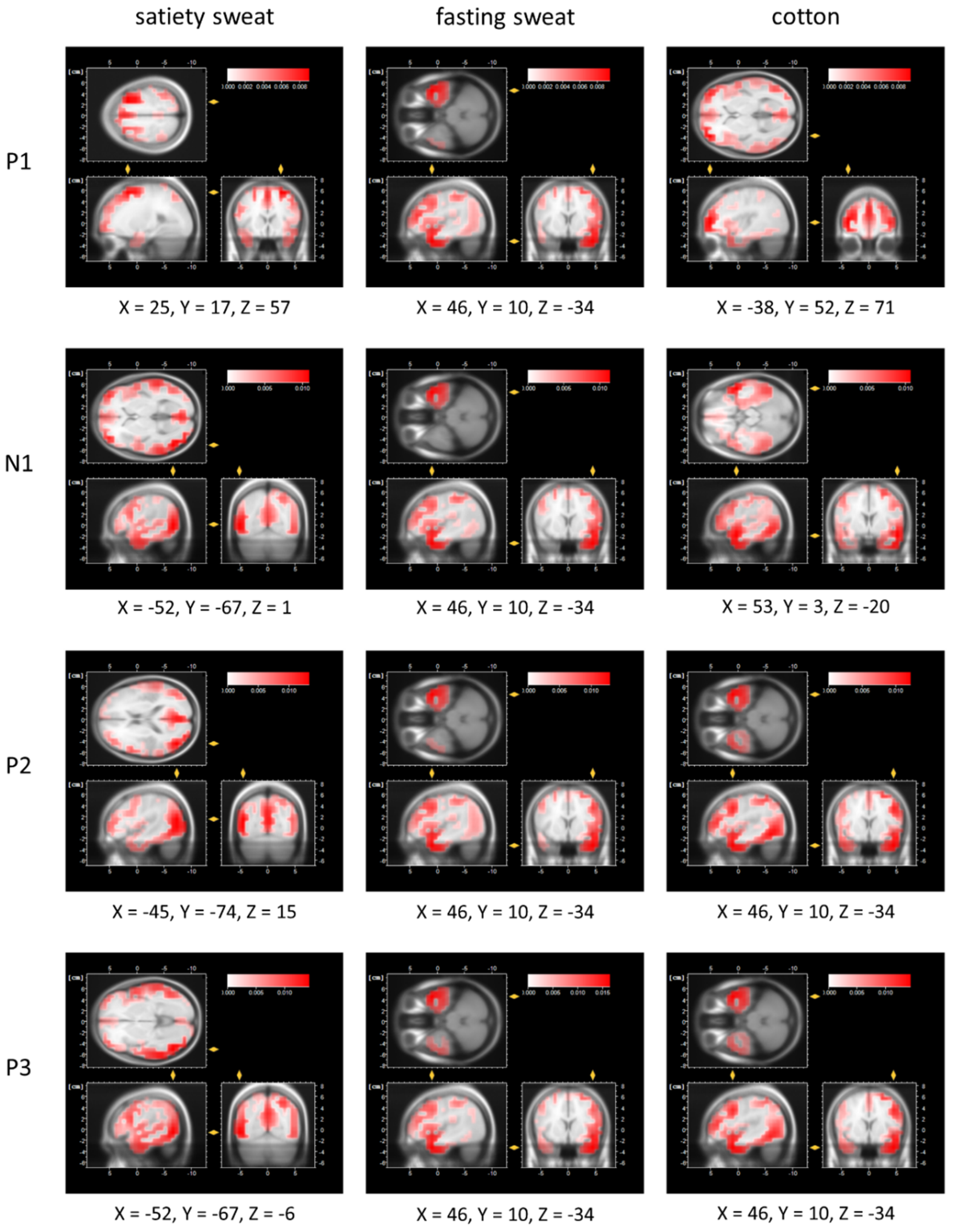 Brainsci 11 01152 g004