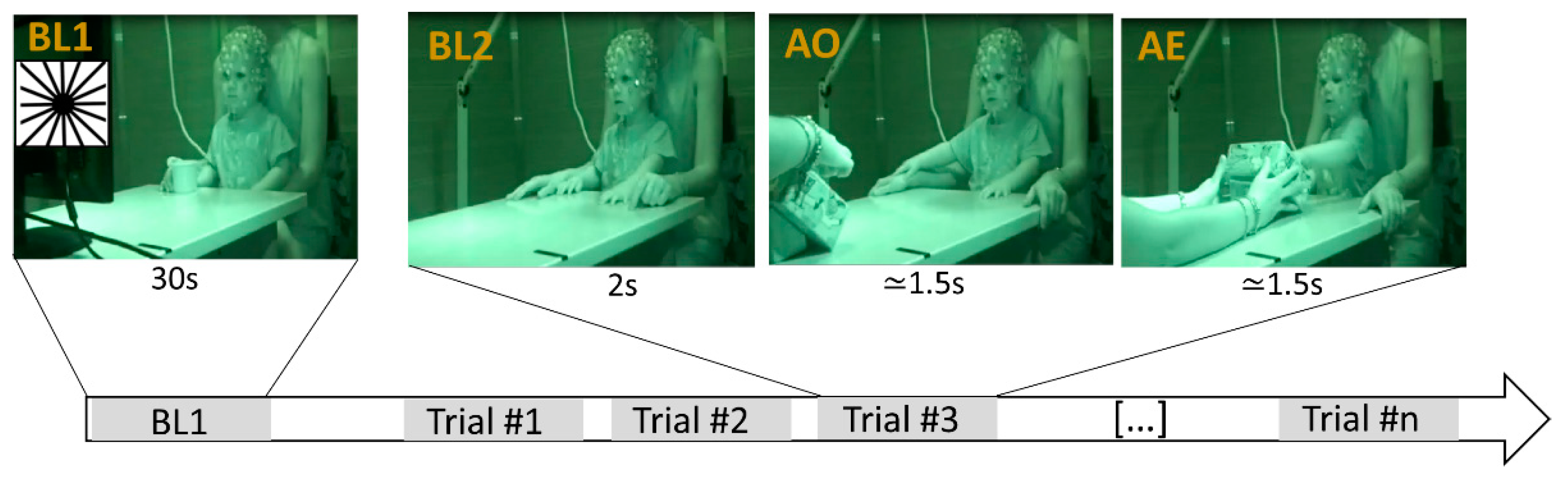 Brainsci 11 01159 g001