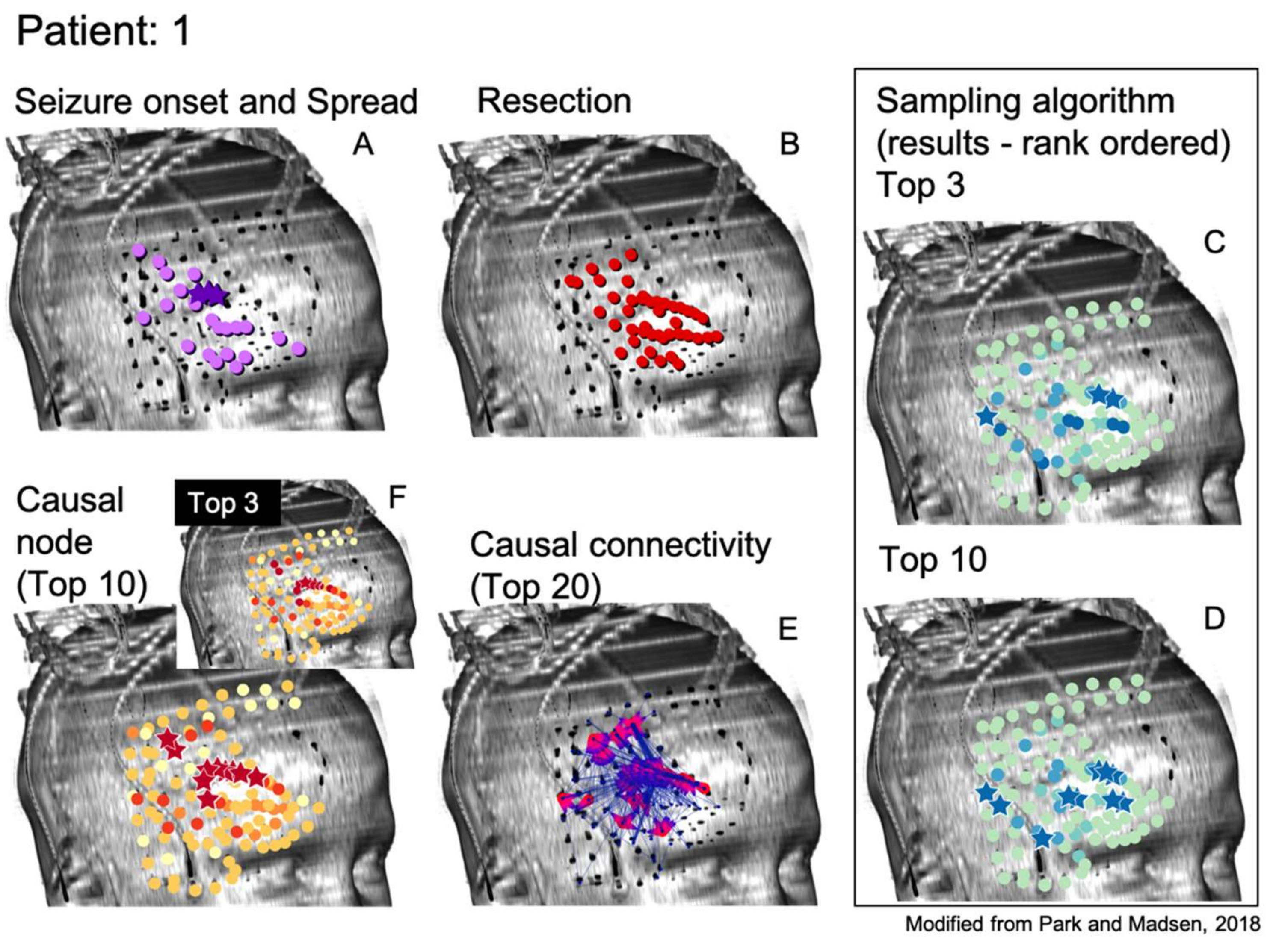 Brainsci 11 01167 g002 550
