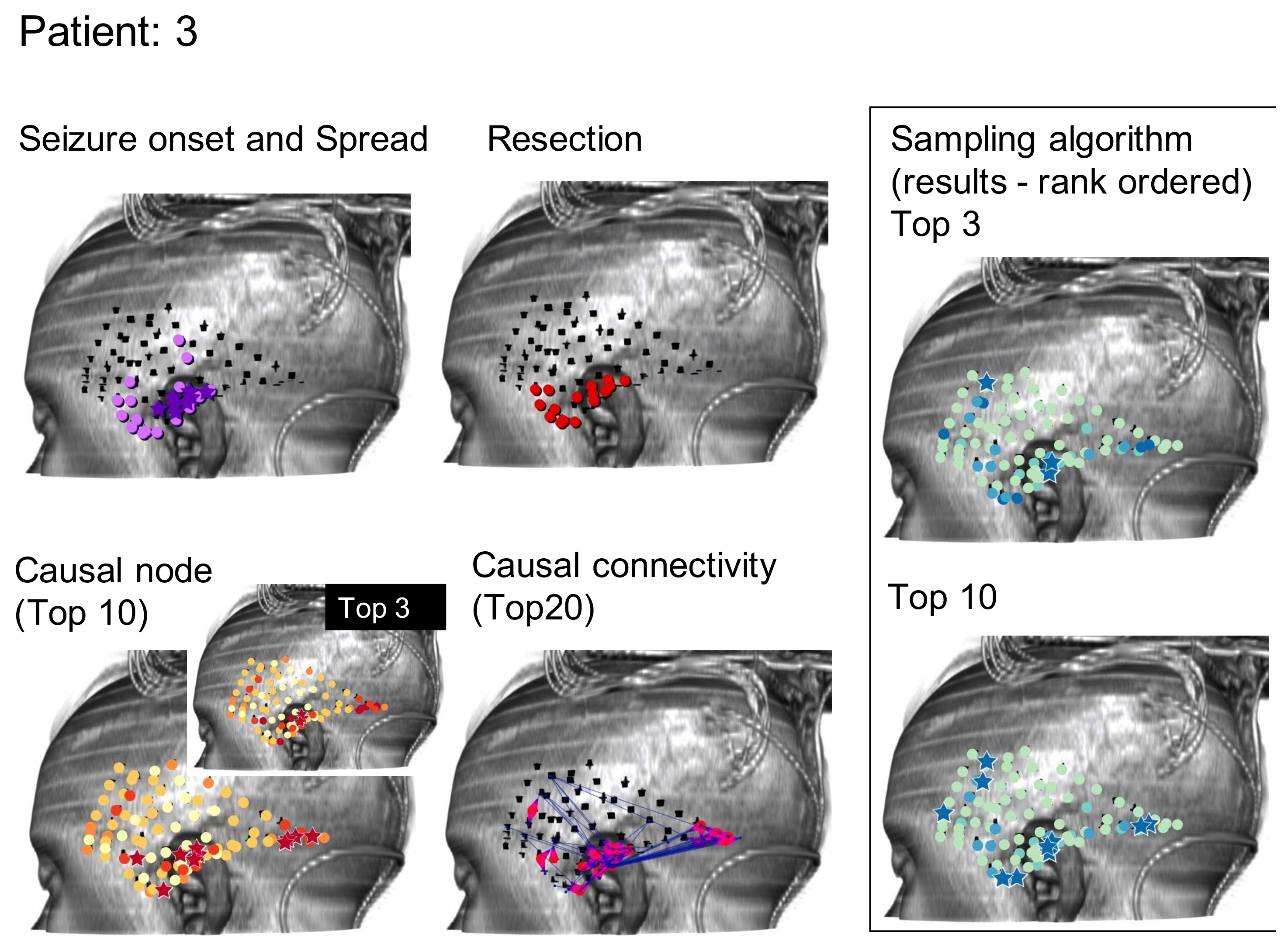 Brainsci 11 01167 g003 550