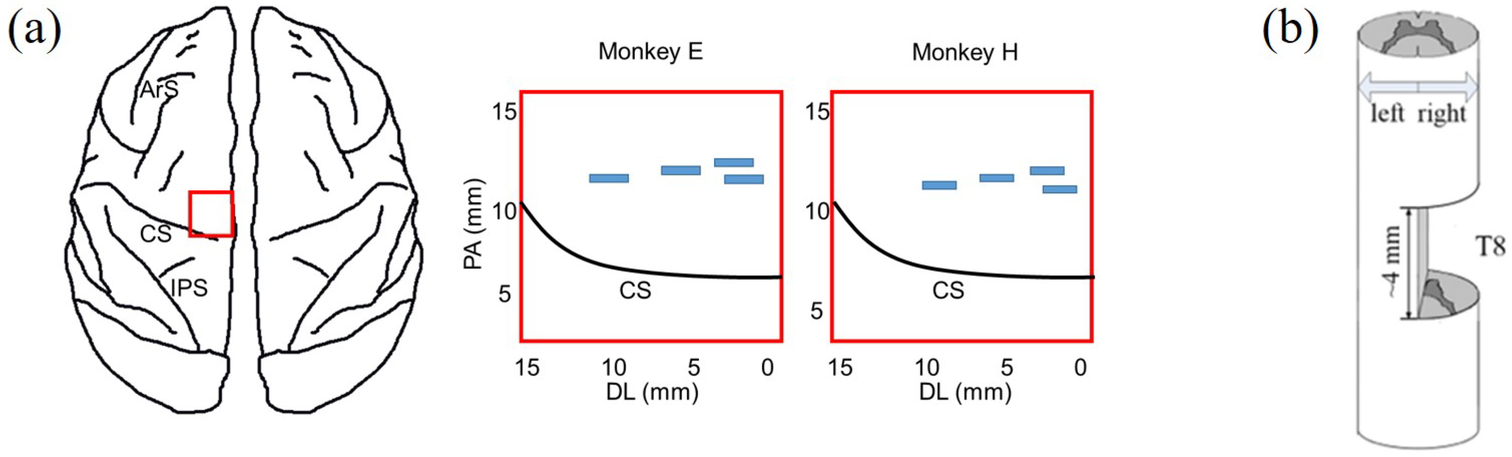 Brainsci 11 01193 g002 Brainsci 11 01193 g002