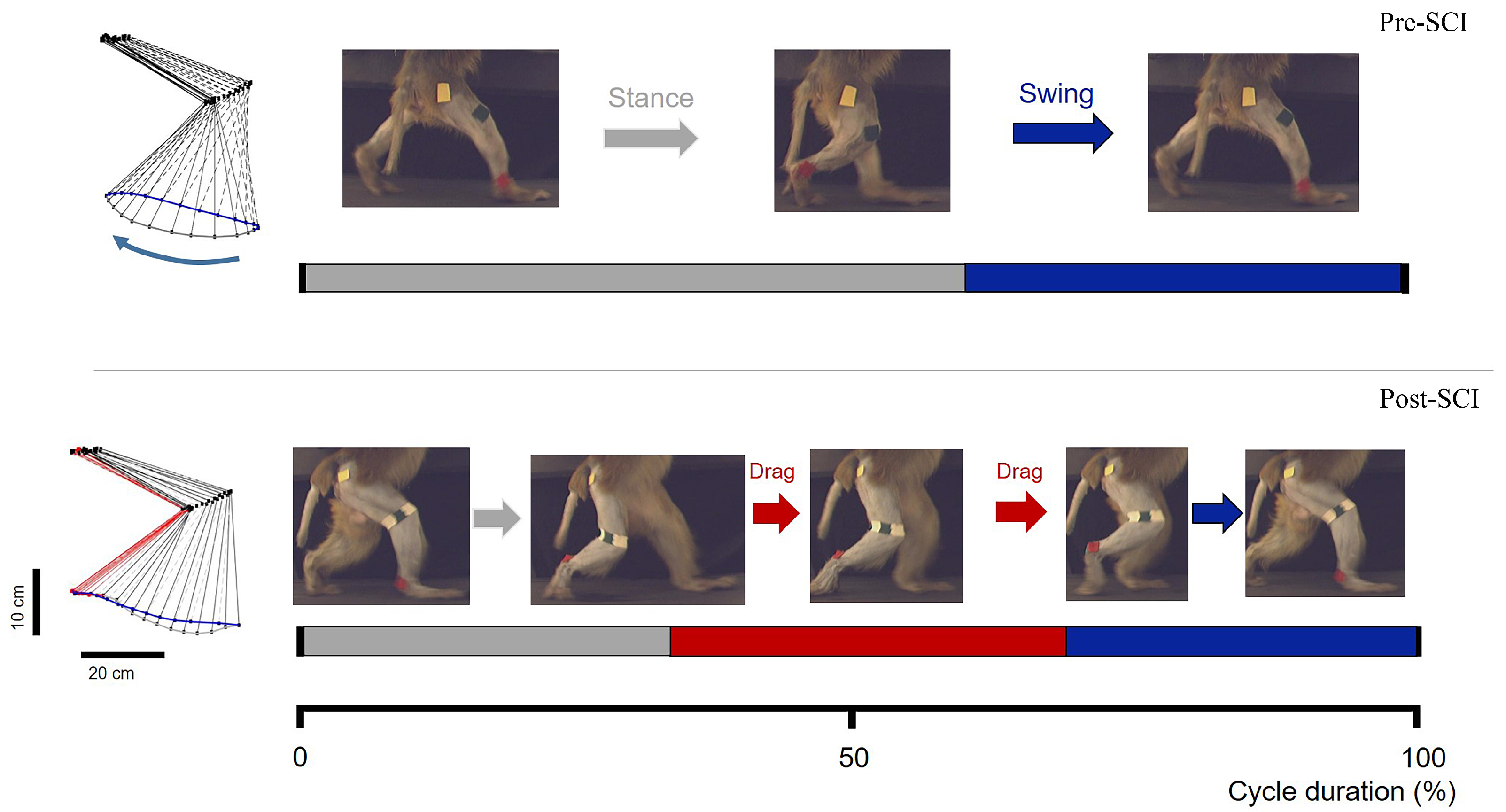 Brainsci 11 01193 g004 Brainsci 11 01193 g004