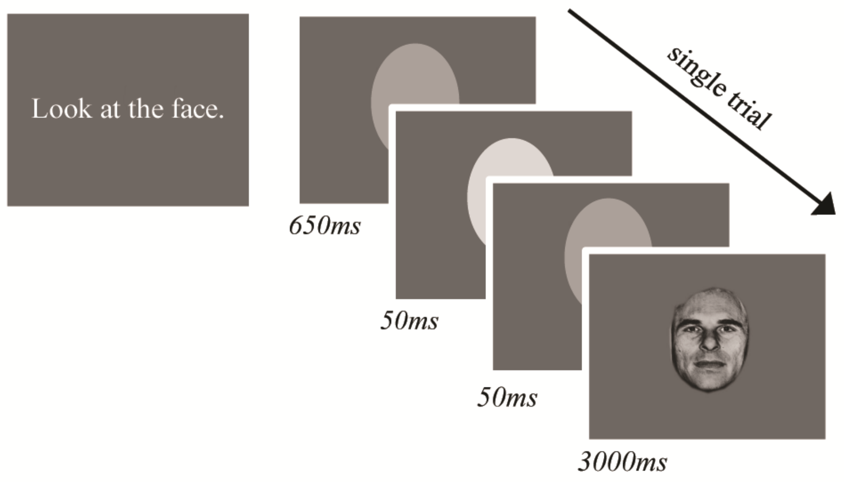Brainsci 11 01195 g001
