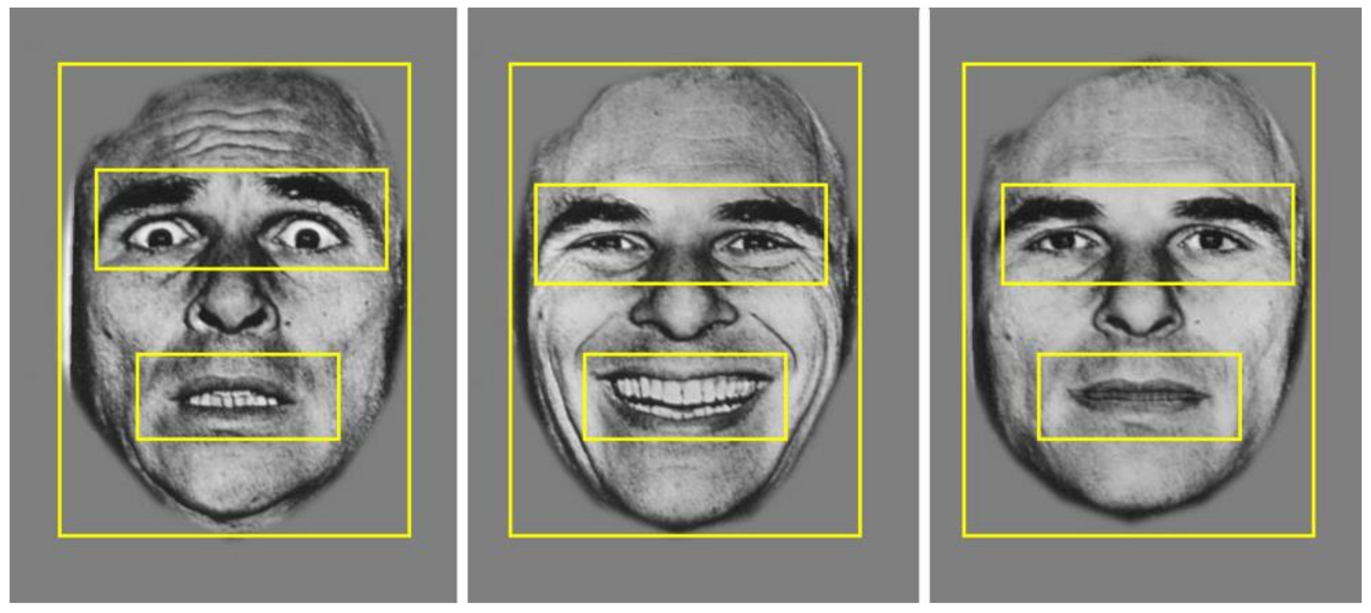 Brainsci 11 01195 g002