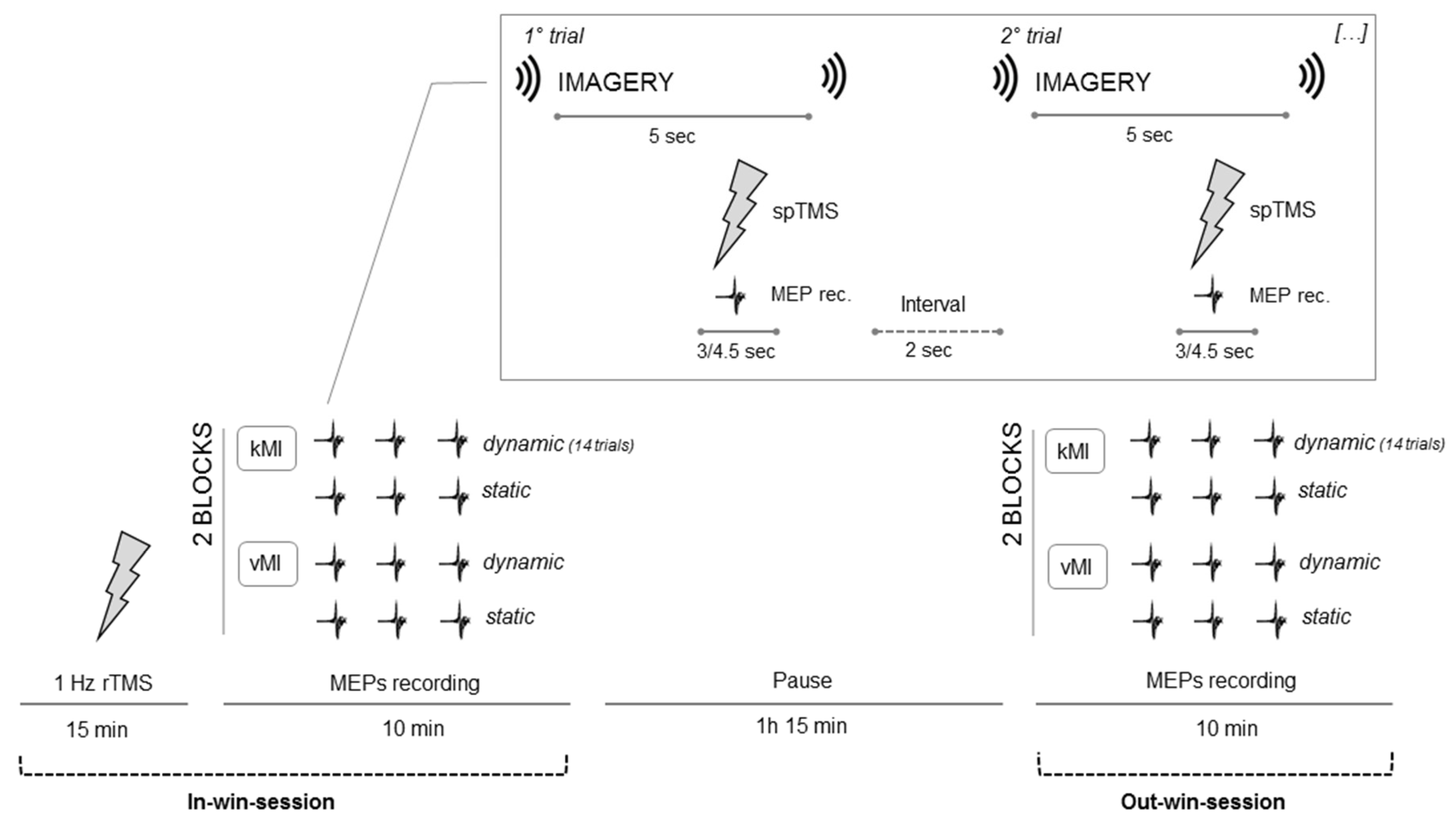 Brainsci 11 01196 g001