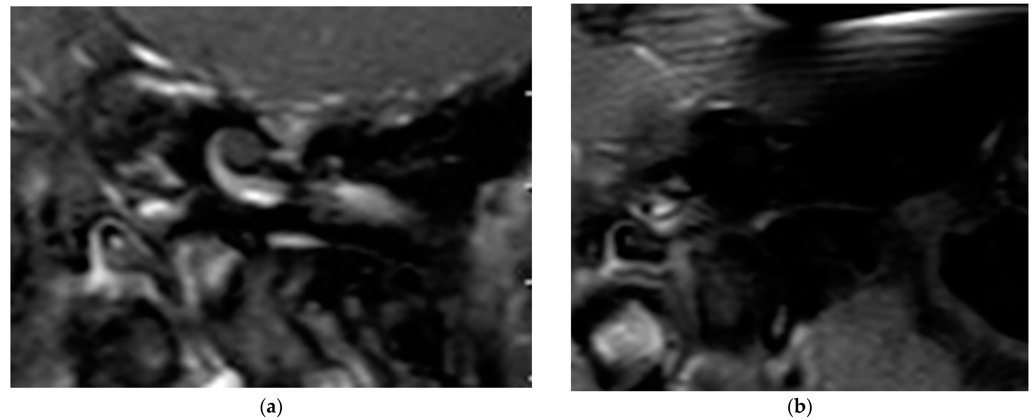 Brainsci 11 01221 g003