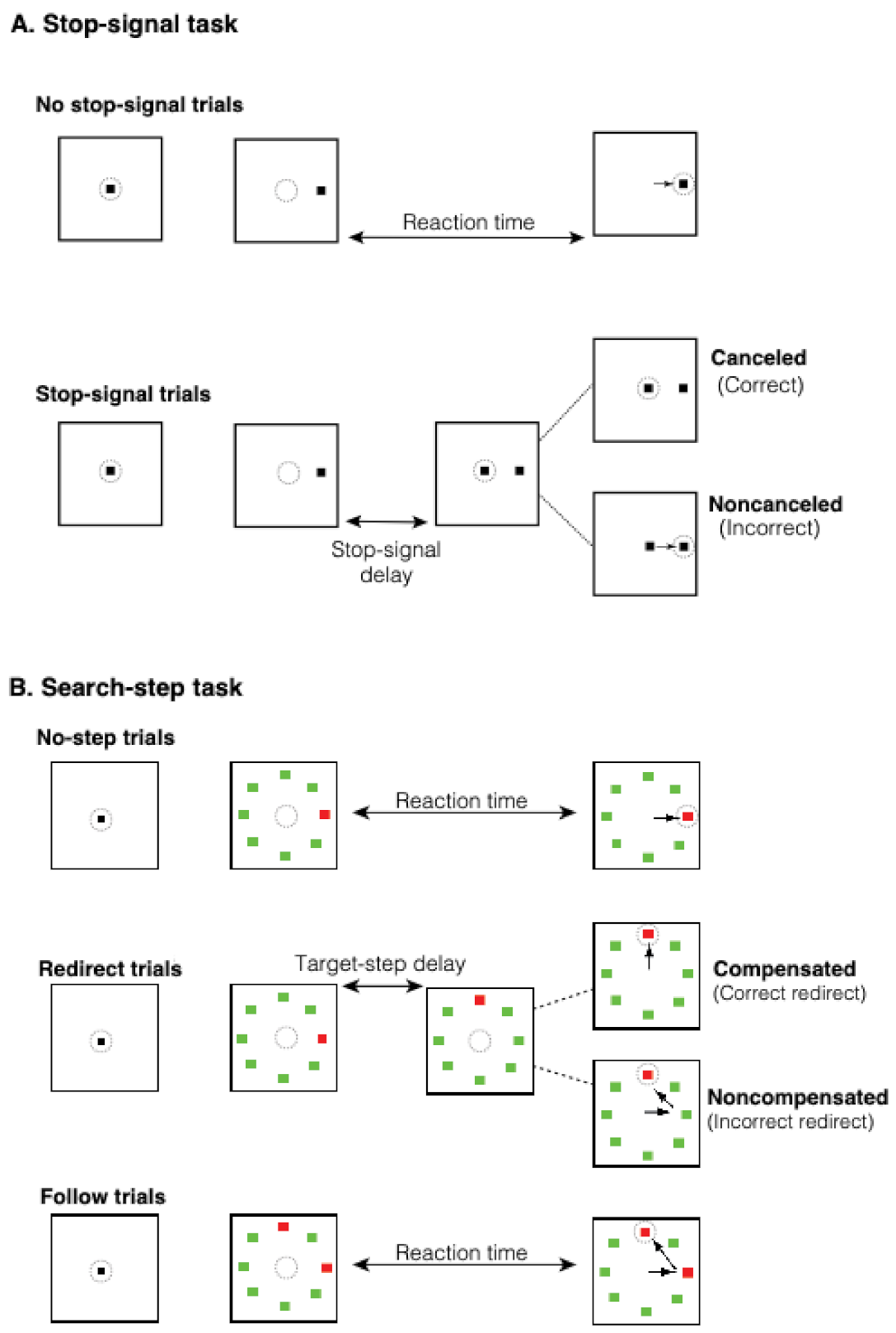 Brainsci 11 01228 g001