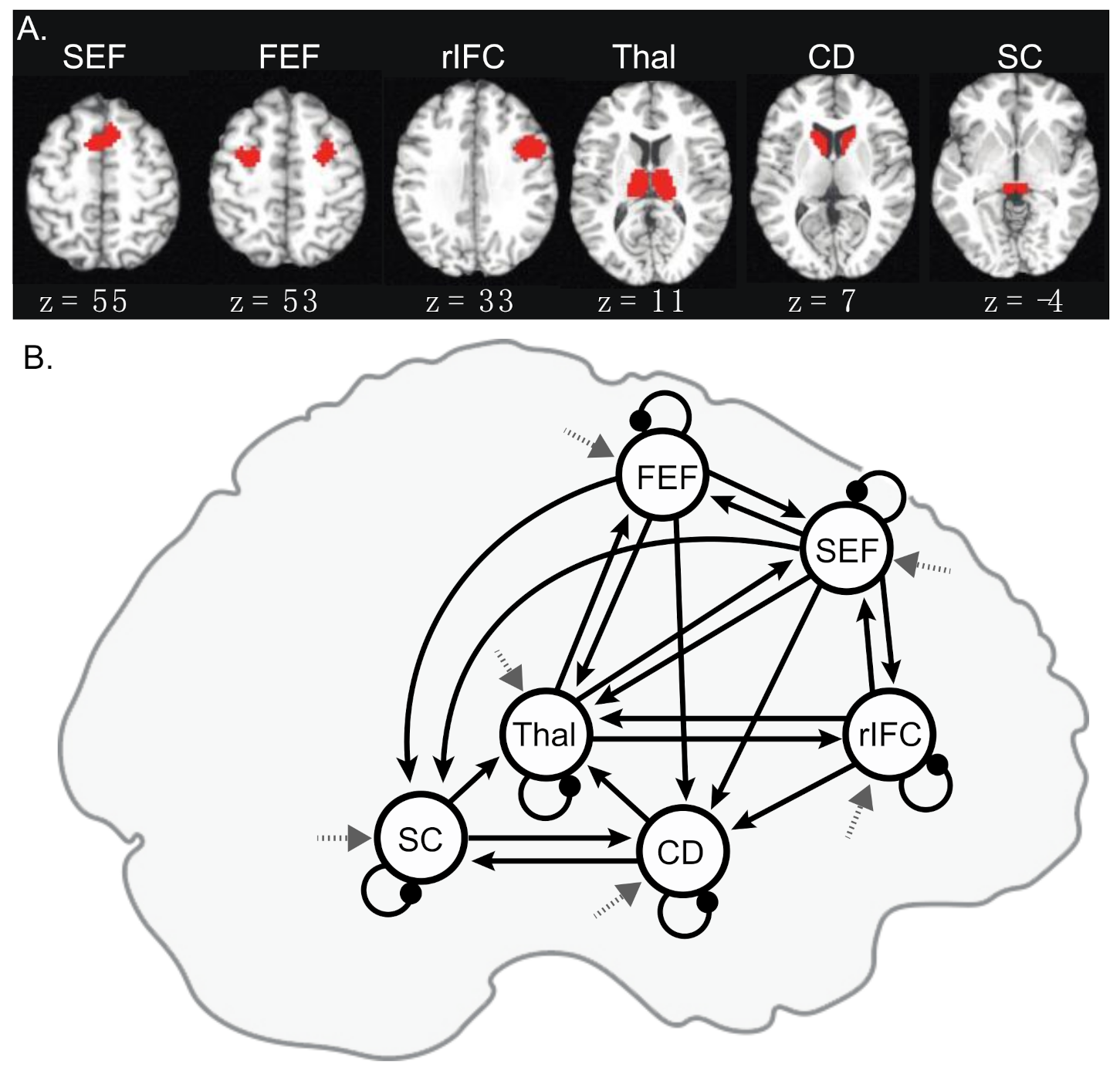 Brainsci 11 01228 g002
