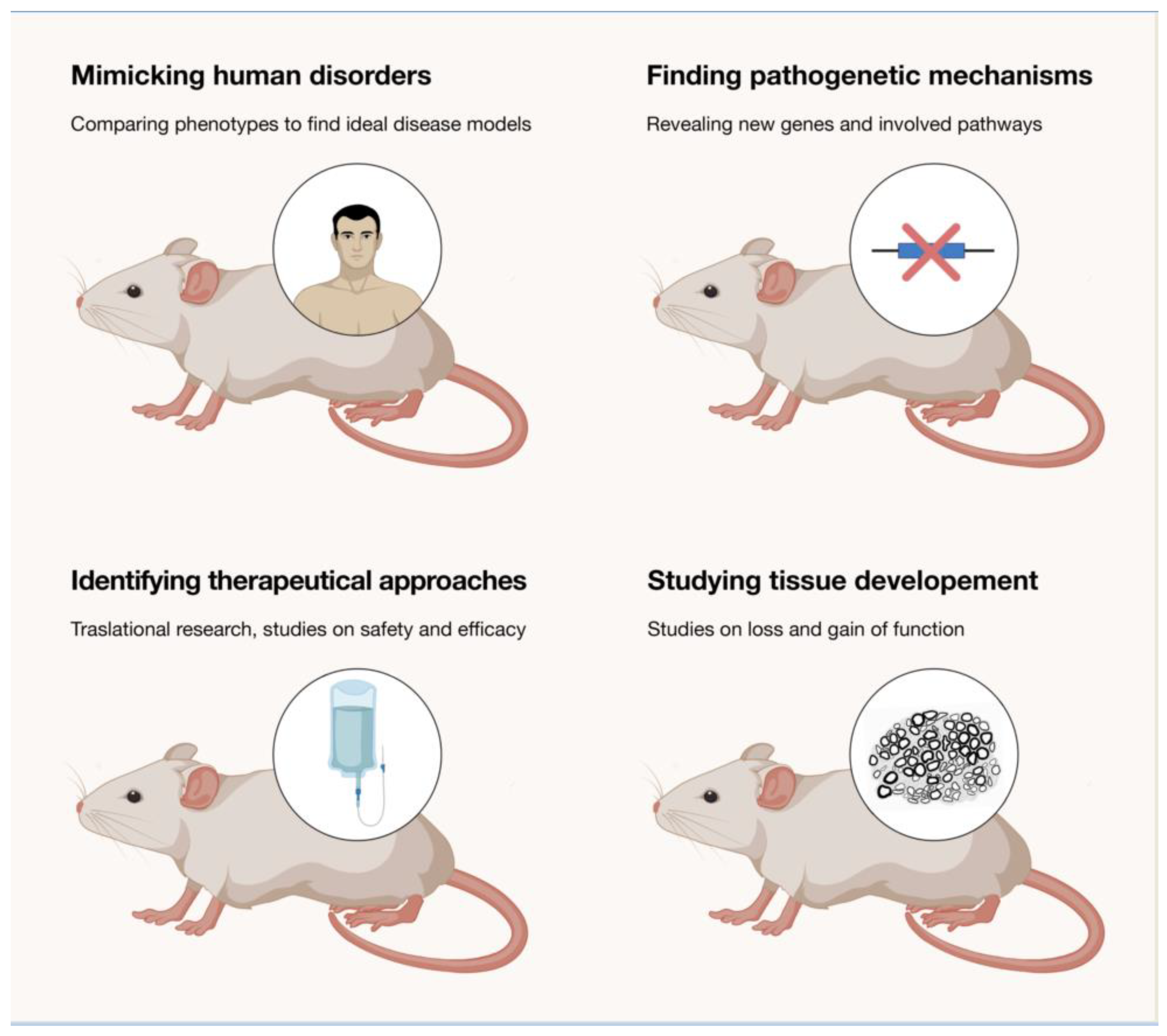 Comparison of mouse models reveals a molecular distinction between