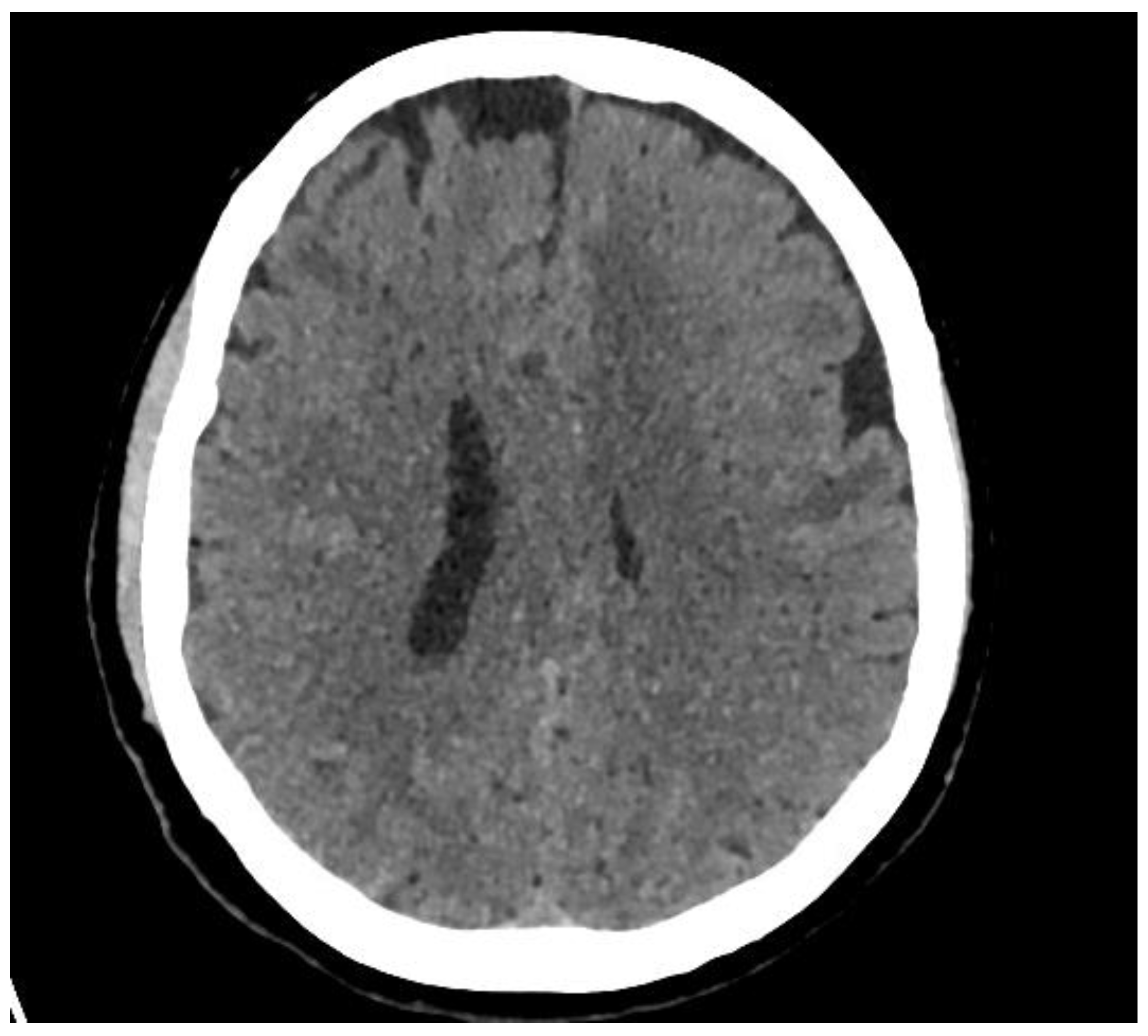 Brainsci 11 01238 g001