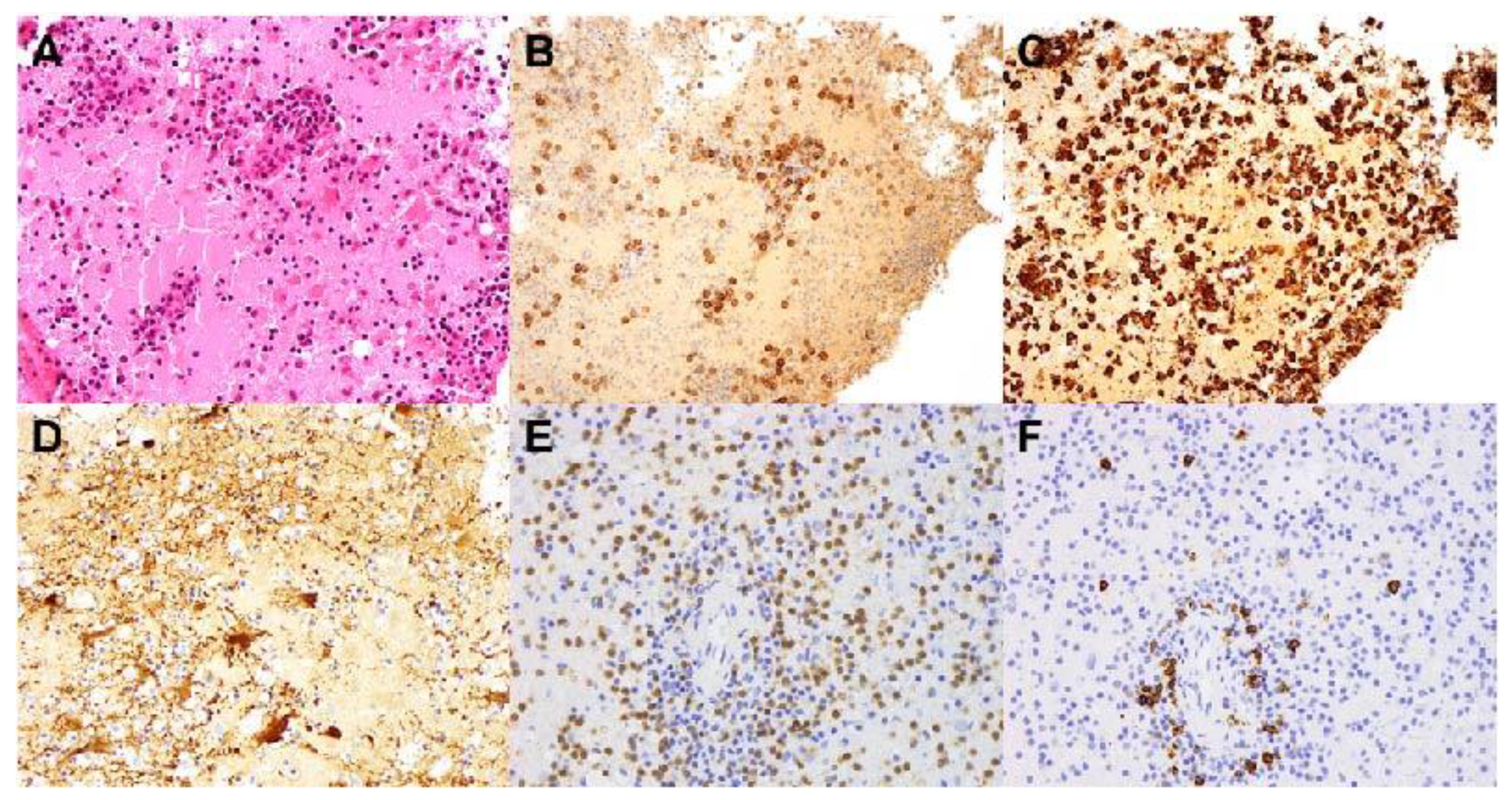 Brainsci 11 01238 g003