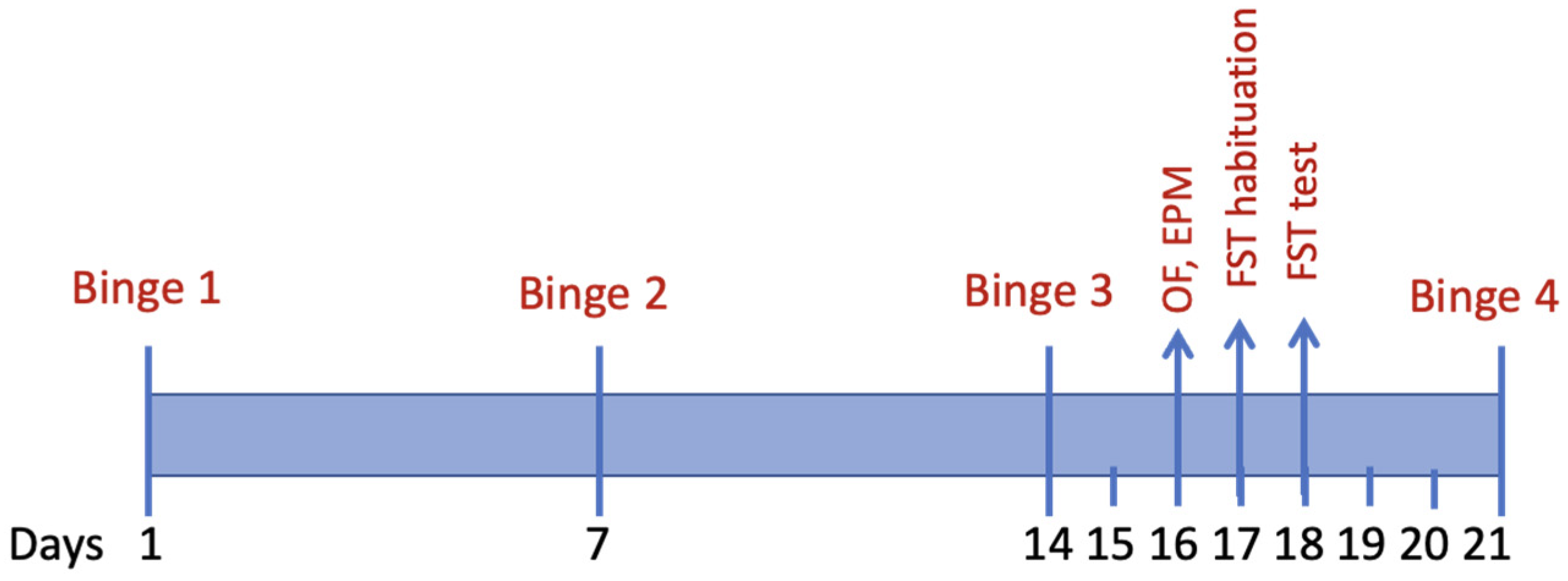 Brainsci 11 01250 g001