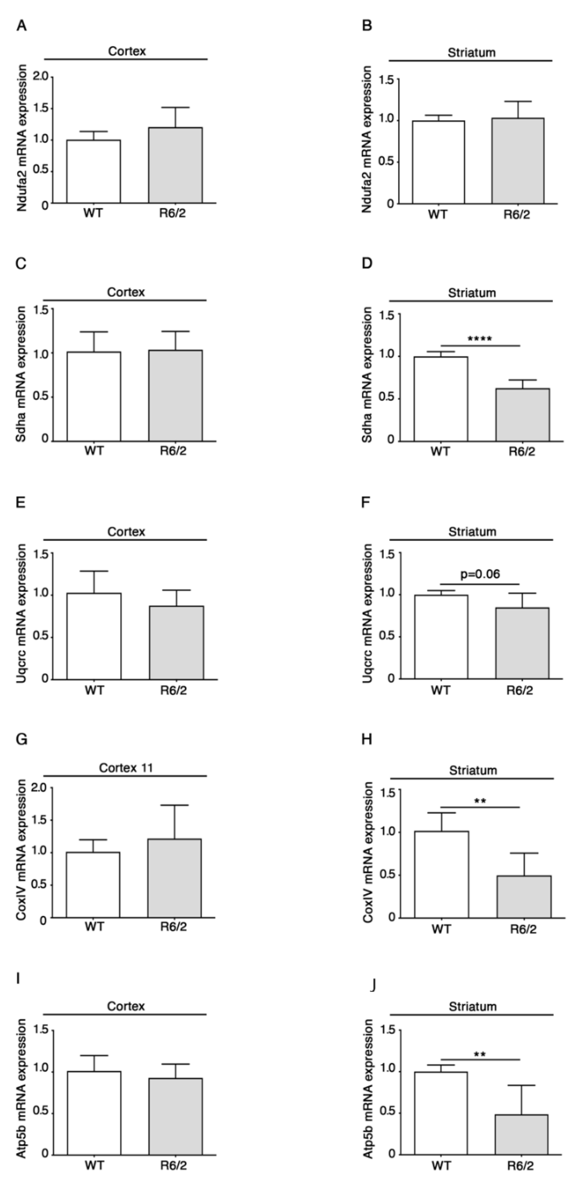 Brainsci 11 01267 g001