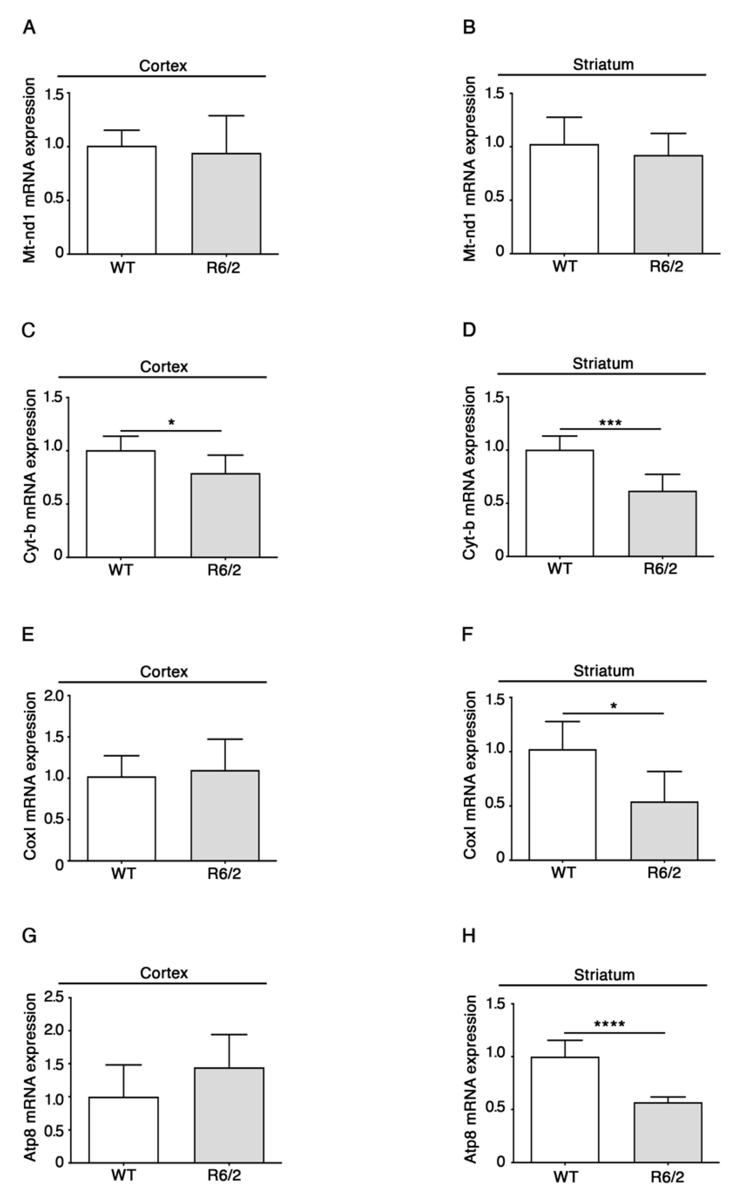 Brainsci 11 01267 g002