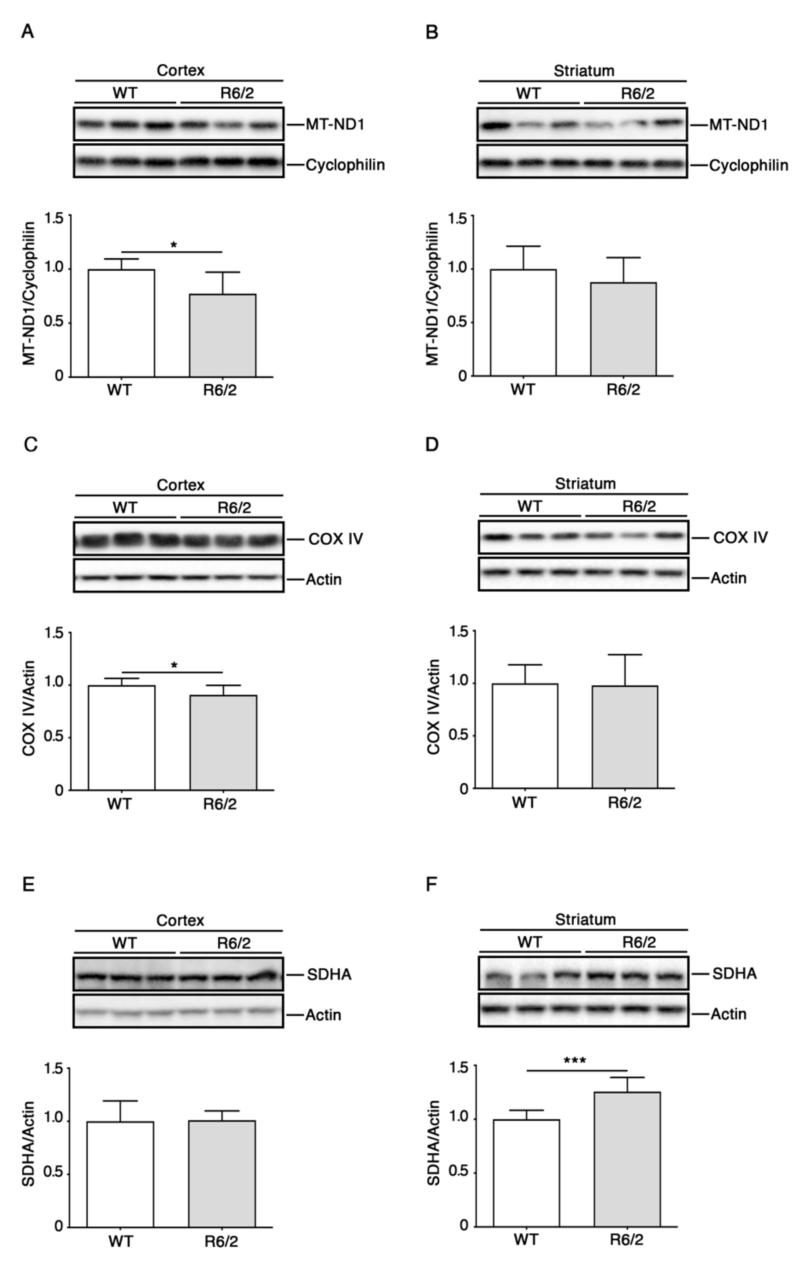 Brainsci 11 01267 g003
