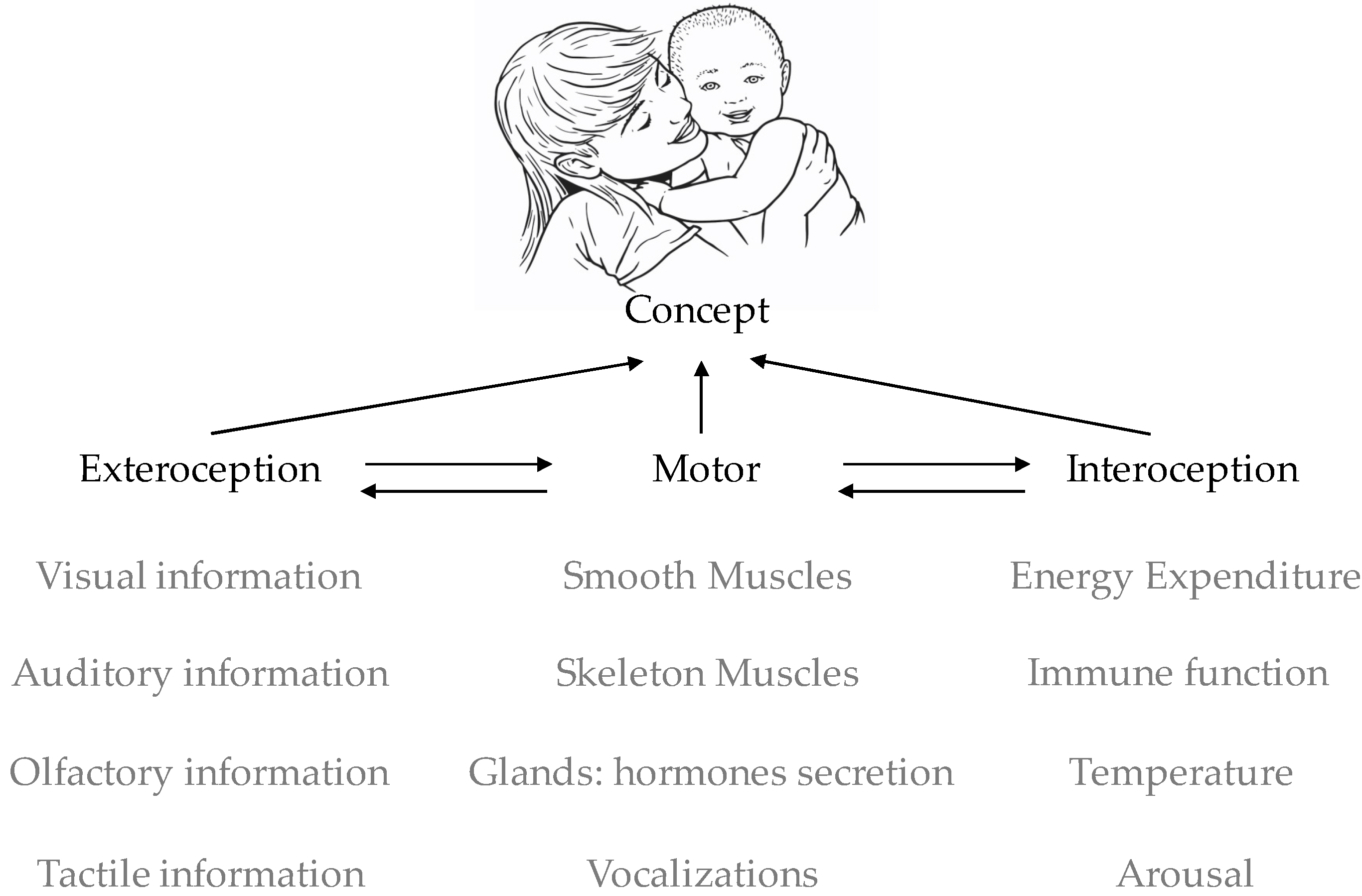 Brainsci 11 01269 g002 Brainsci 11 01269 g002