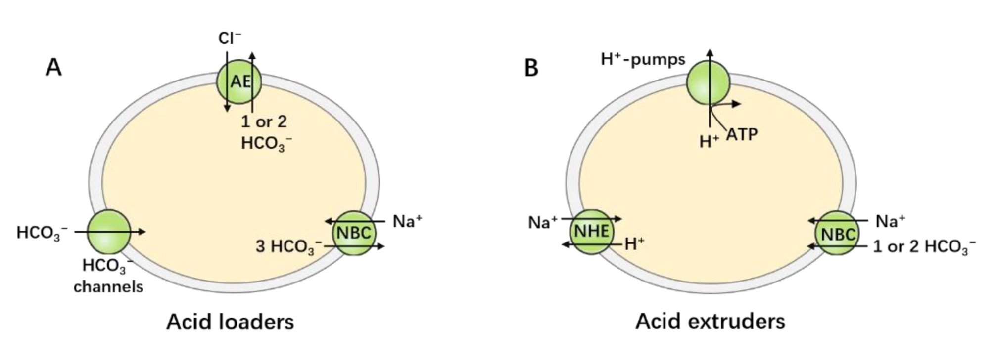 Brainsci 11 01276 g001 Brainsci 11 01276 g001