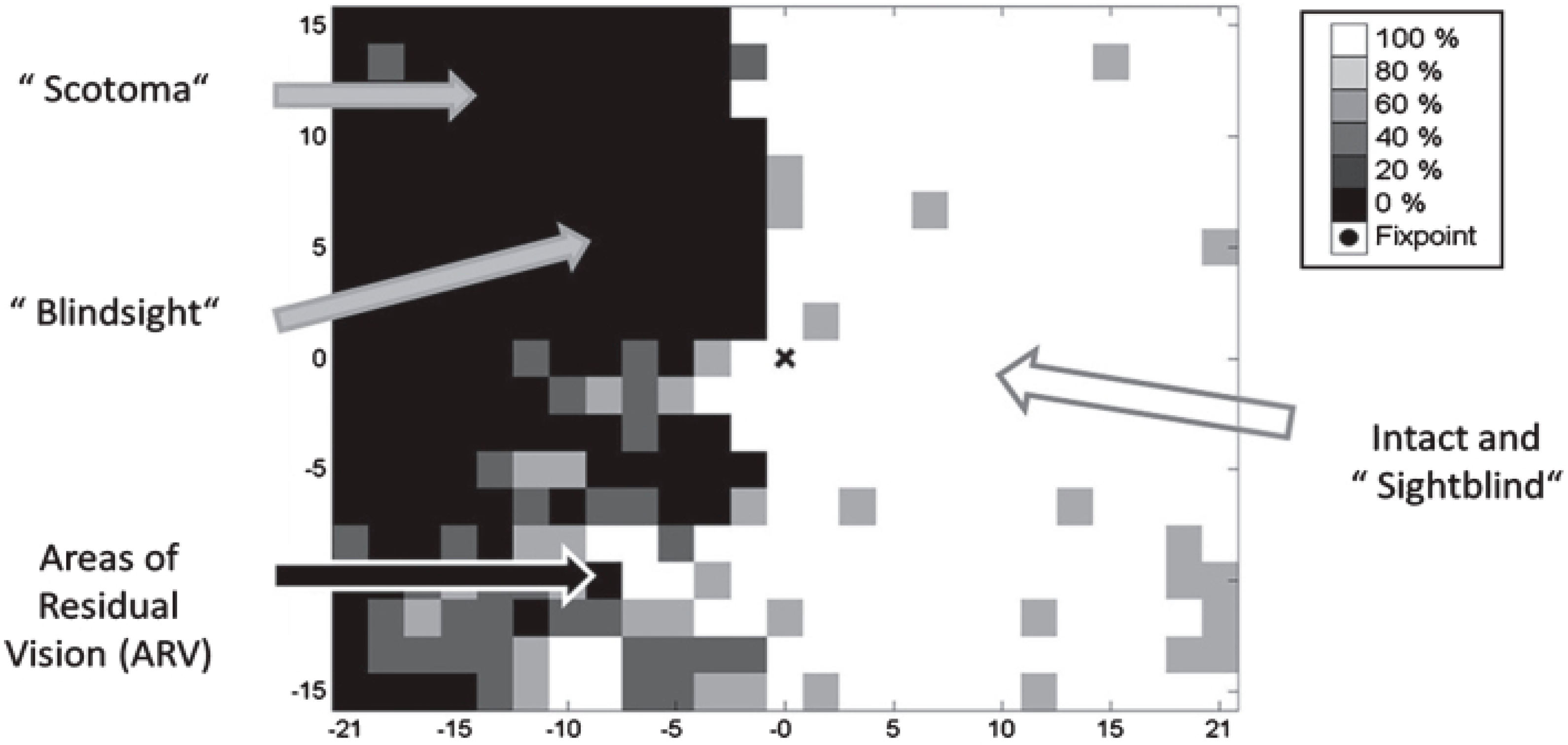 Brainsci 11 01279 g004 Brainsci 11 01279 g004