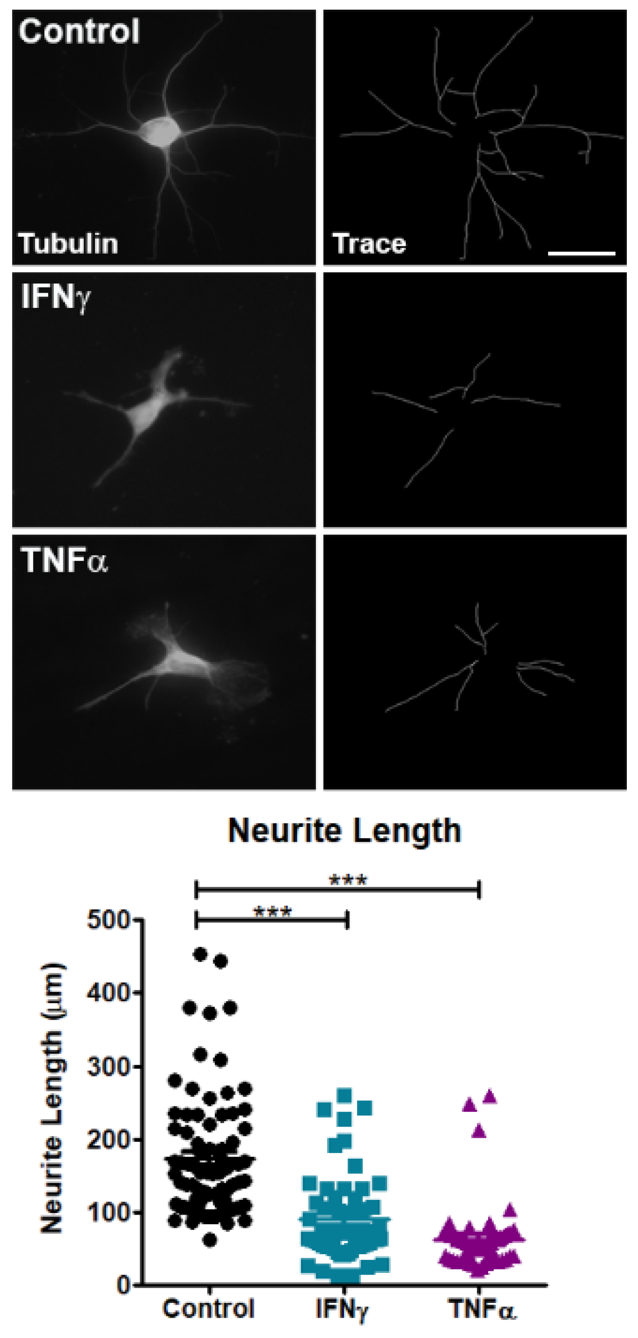 Book binding service near me picture