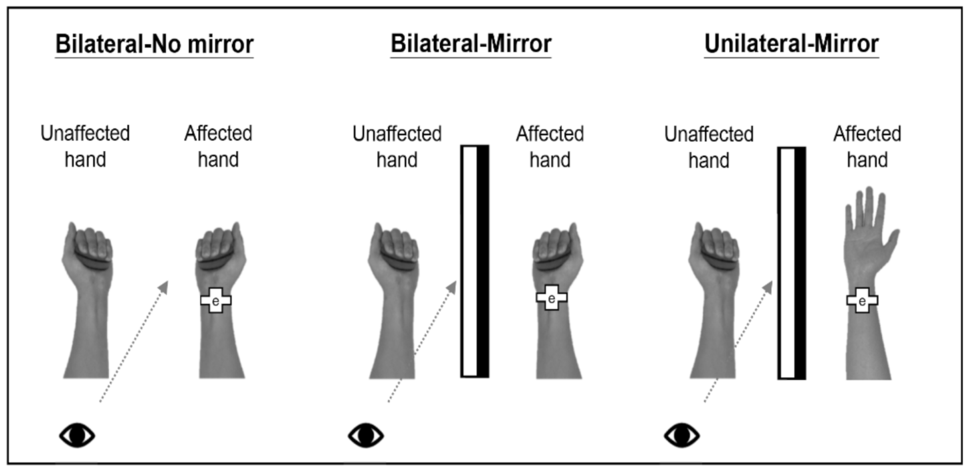 Brainsci 11 01284 g001 Brainsci 11 01284 g001
