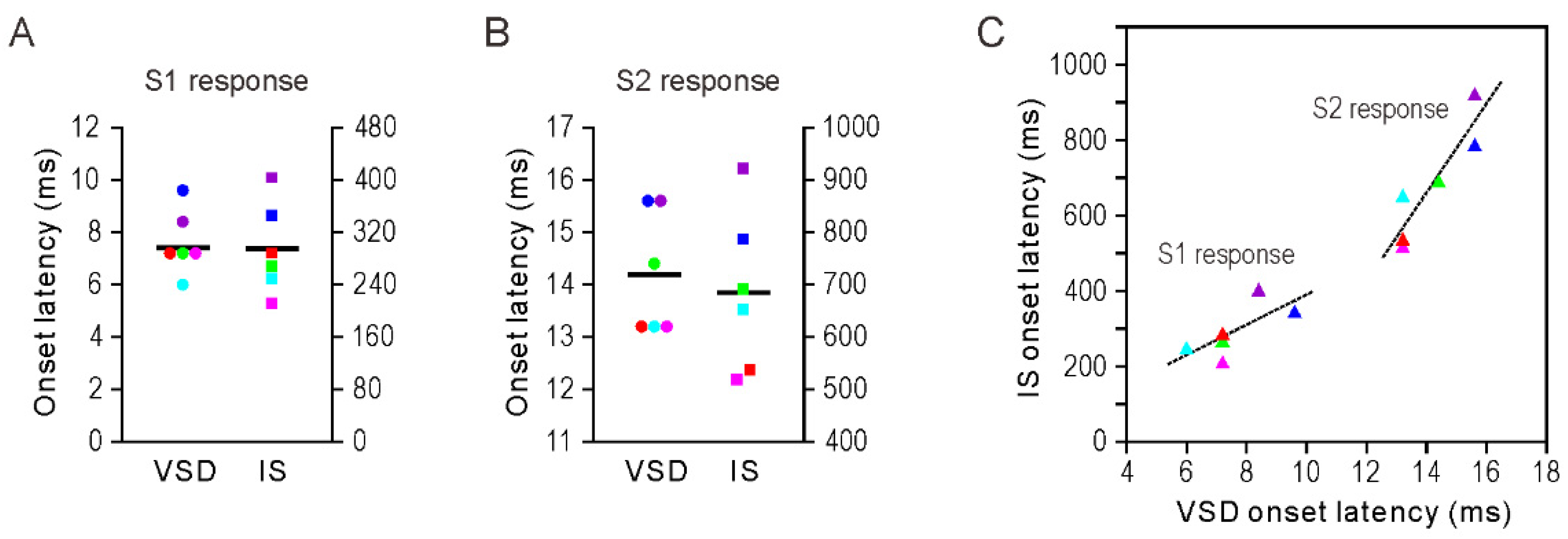 Brainsci 11 01294 g002 Brainsci 11 01294 g002