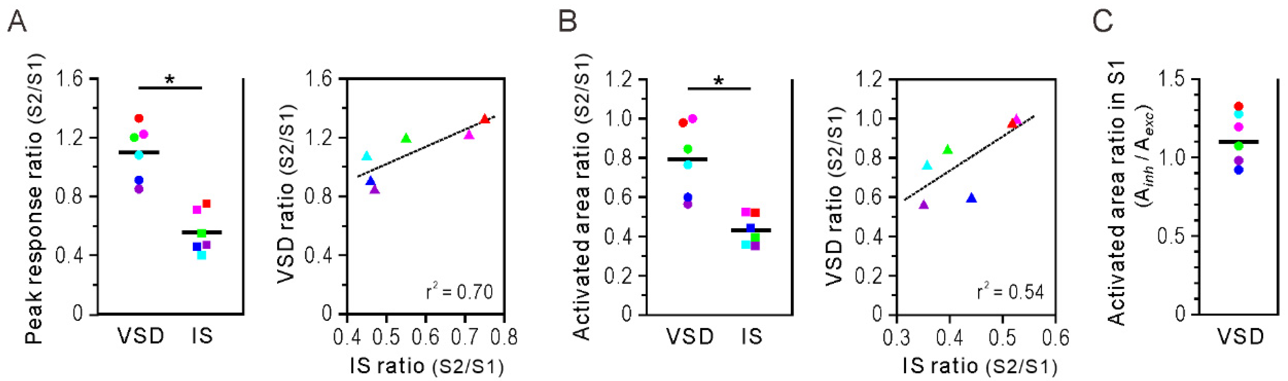 Brainsci 11 01294 g003 Brainsci 11 01294 g003