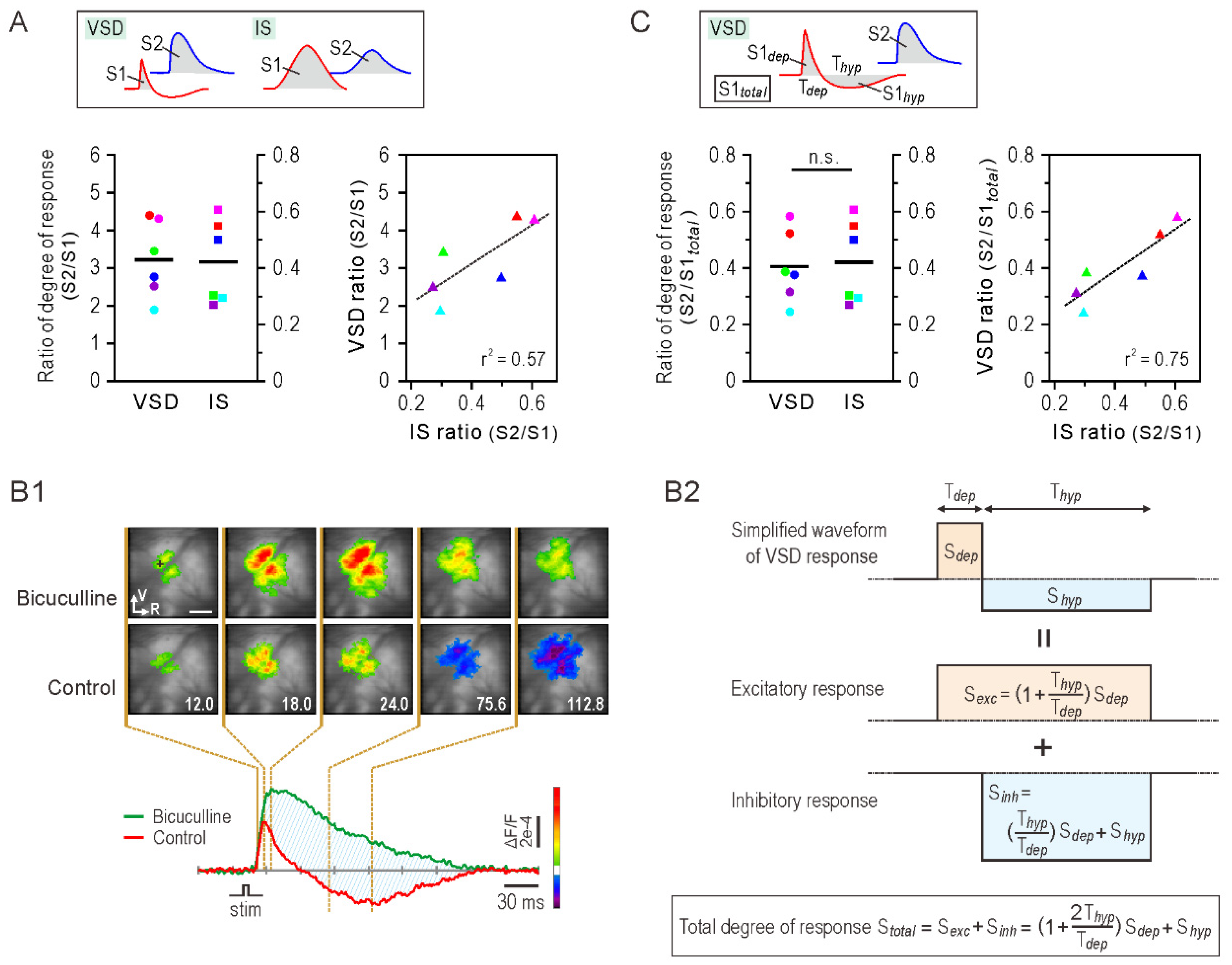 Brainsci 11 01294 g004 Brainsci 11 01294 g004