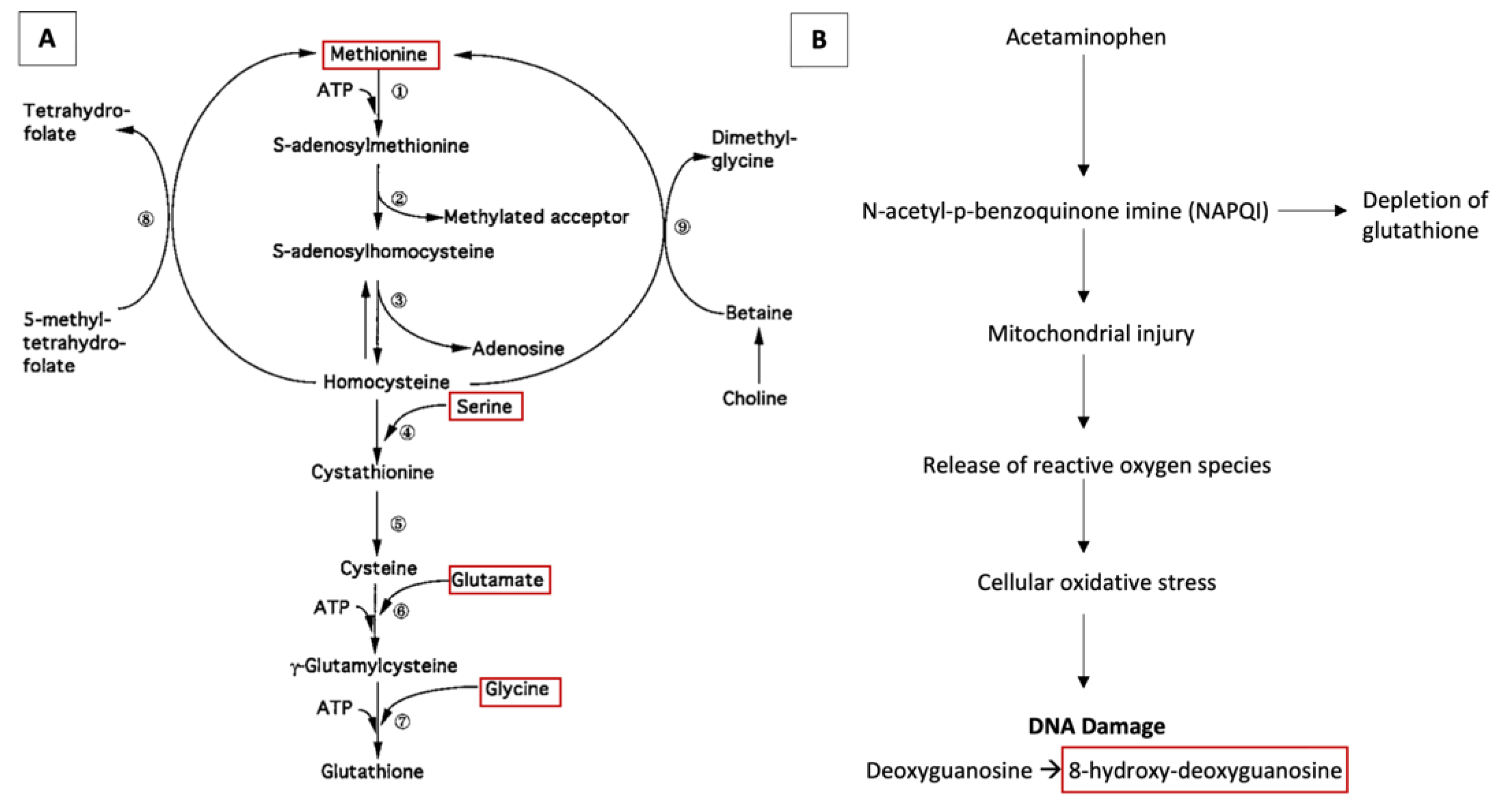Brainsci 11 01302 g001