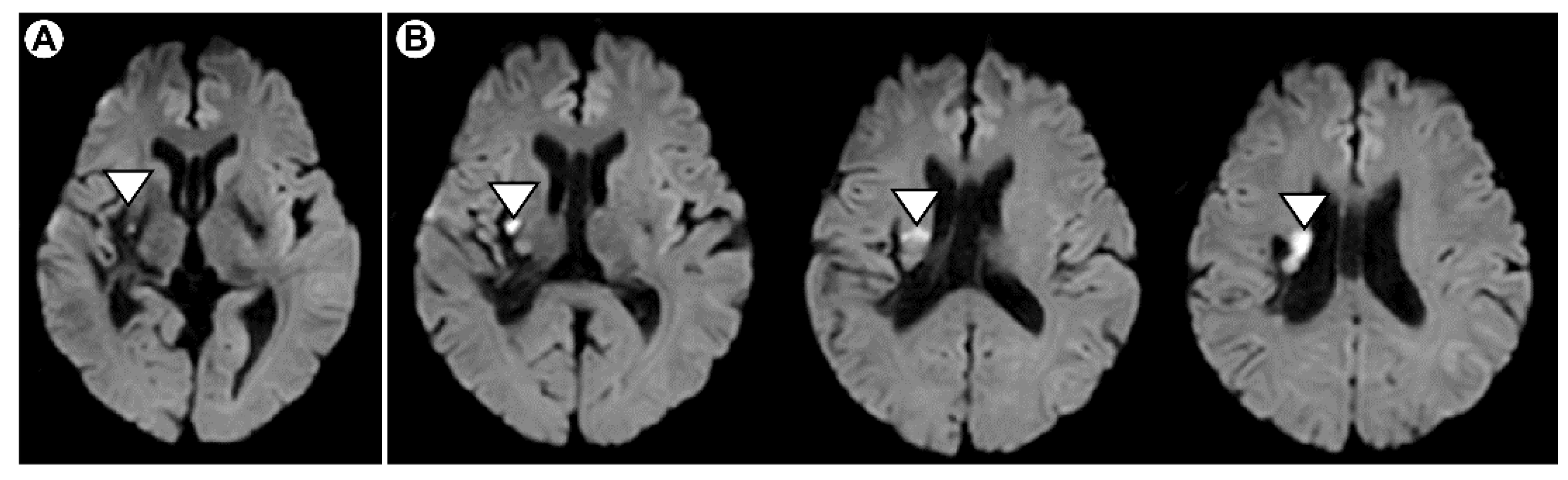 Brainsci 11 01314 g001 Brainsci 11 01314 g001