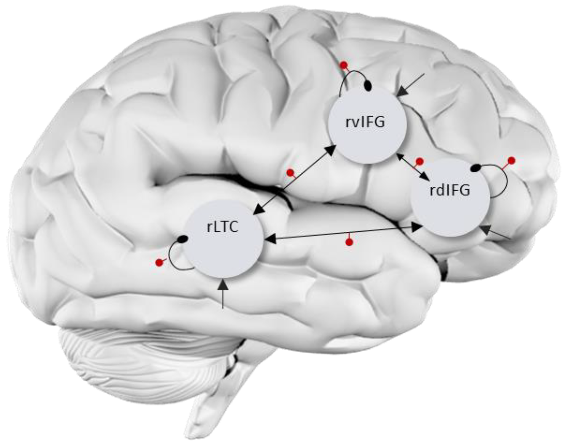Brainsci 11 01330 g001 Brainsci 11 01330 g001