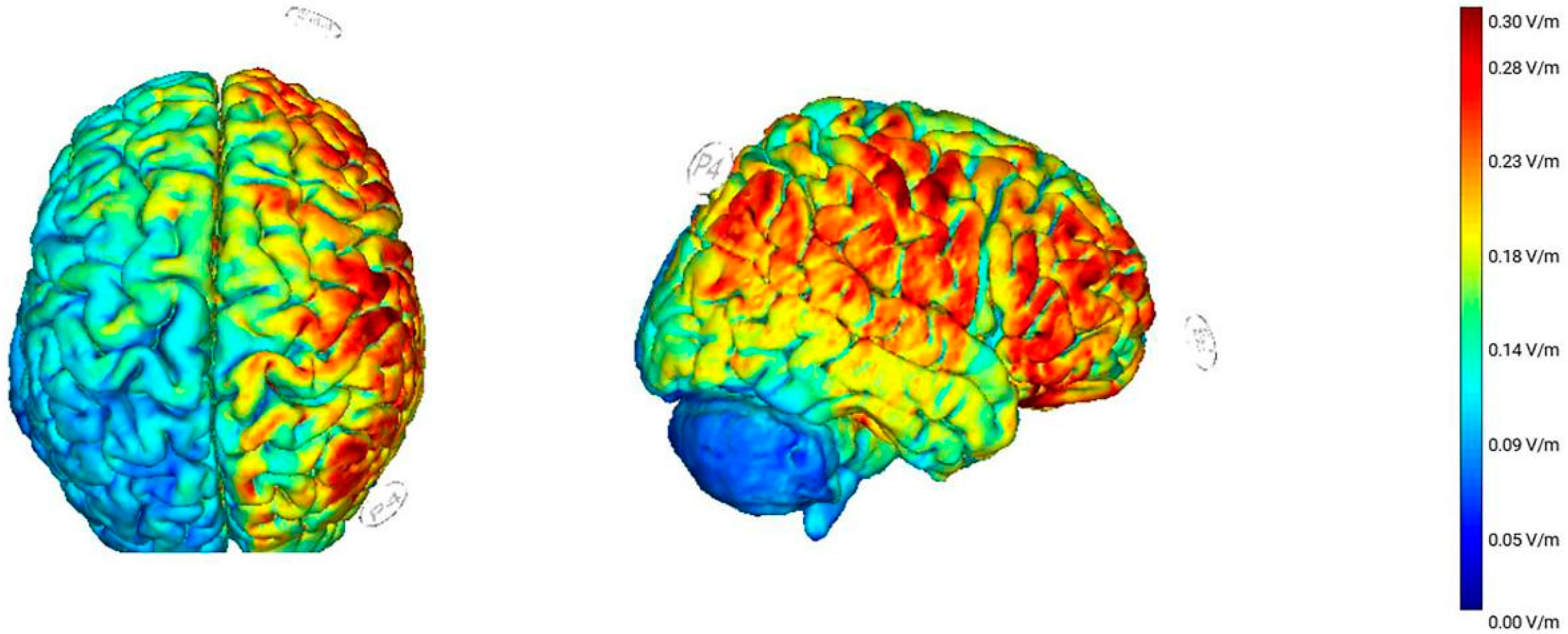 Brainsci 11 01358 g002 550