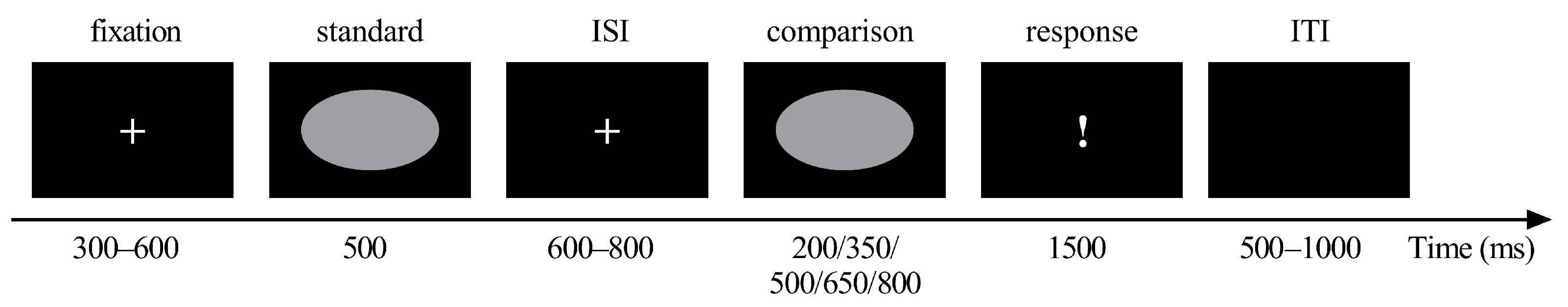 Brainsci 11 01362 g001 Brainsci 11 01362 g001