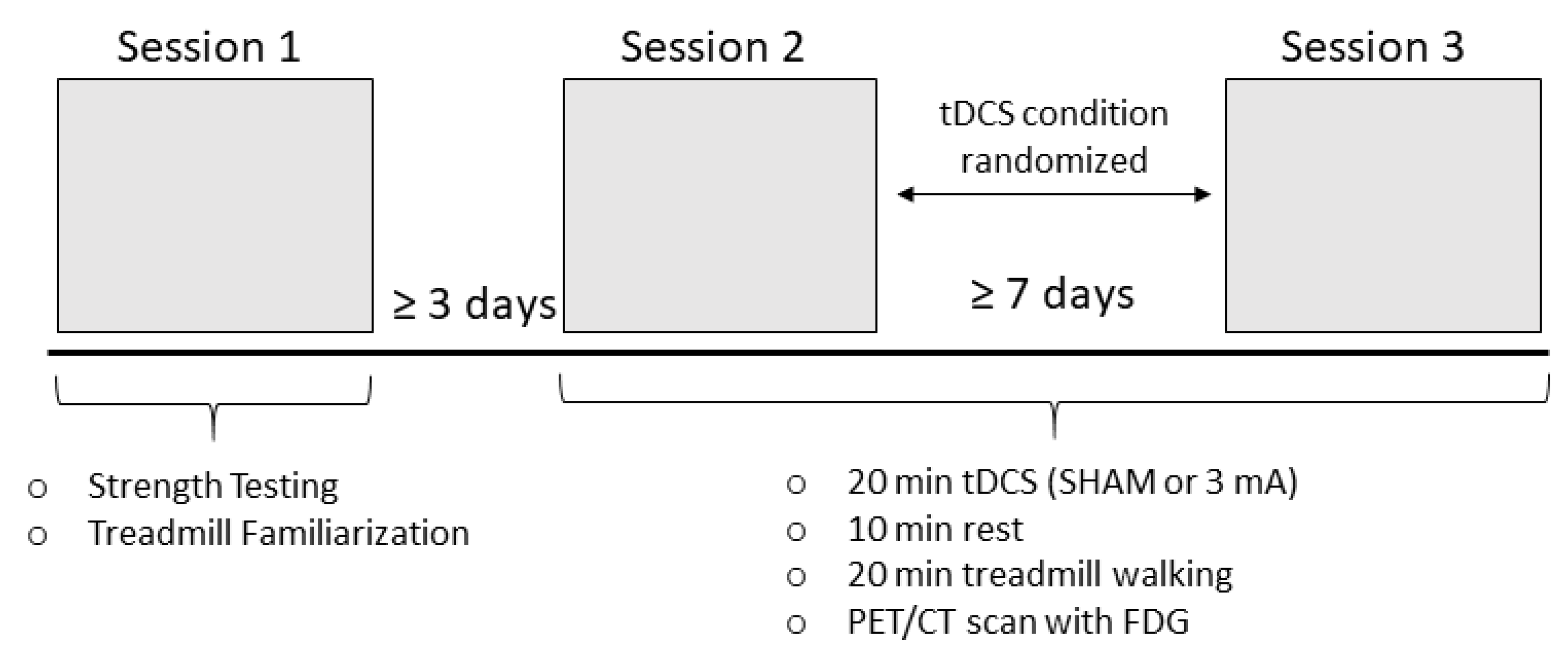 Brainsci 11 01363 g001