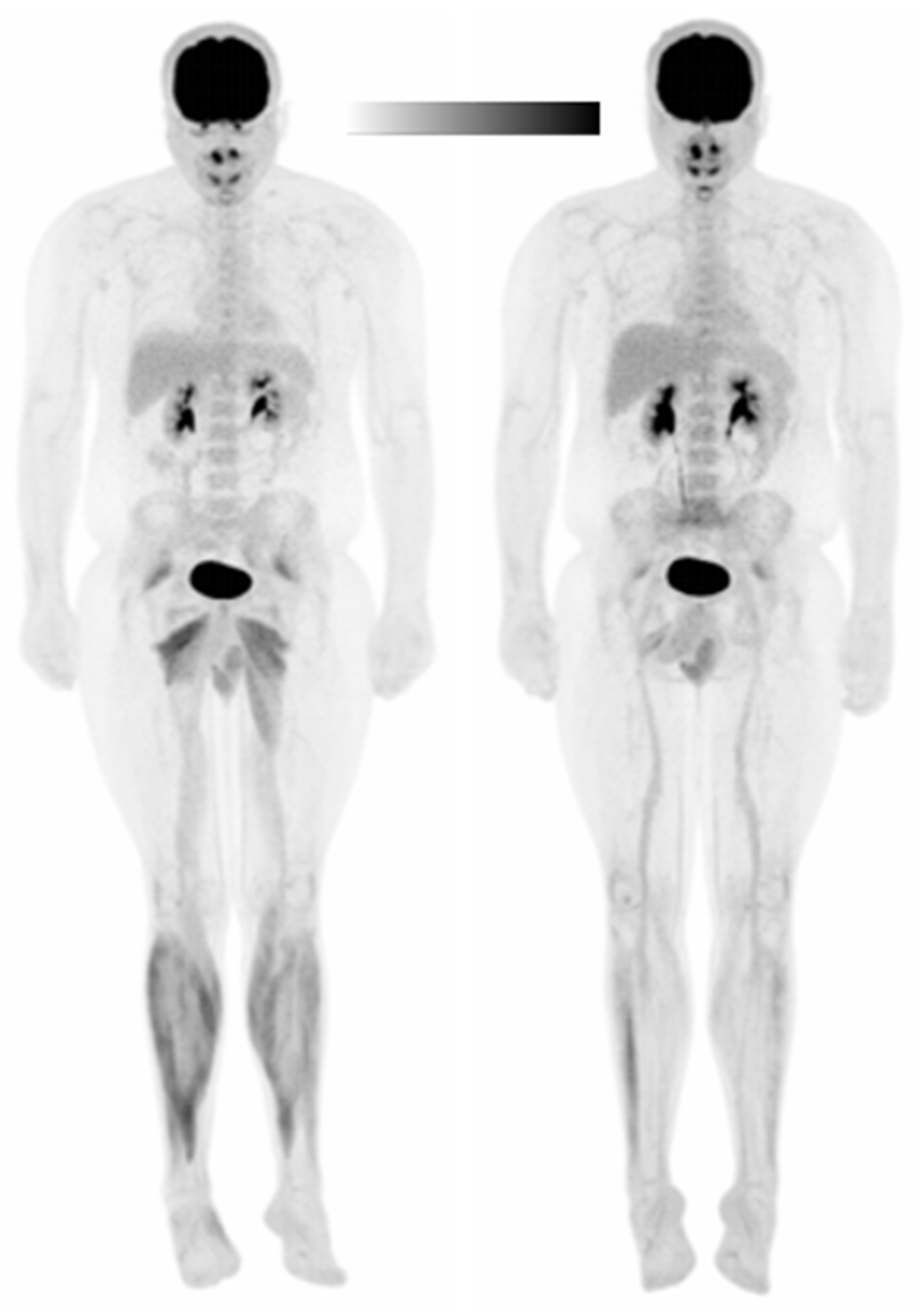 Brainsci 11 01363 g003