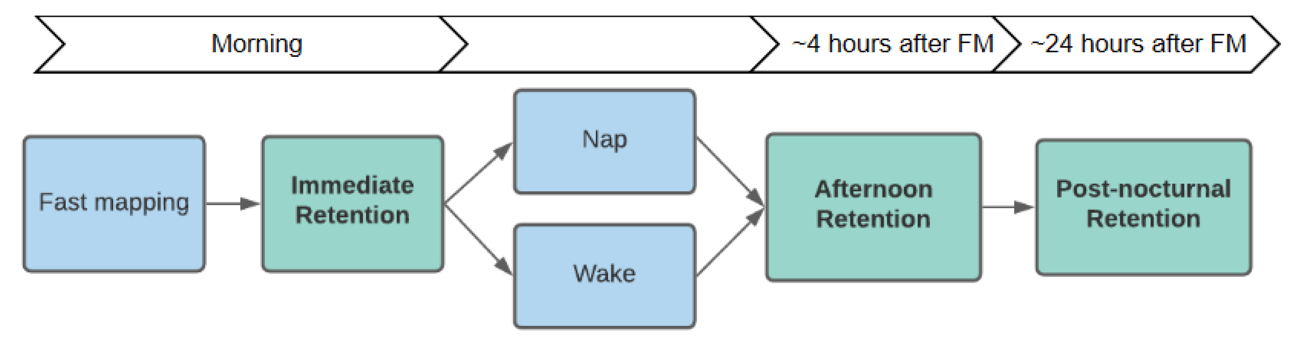 Brainsci 11 01366 g001 Brainsci 11 01366 g001