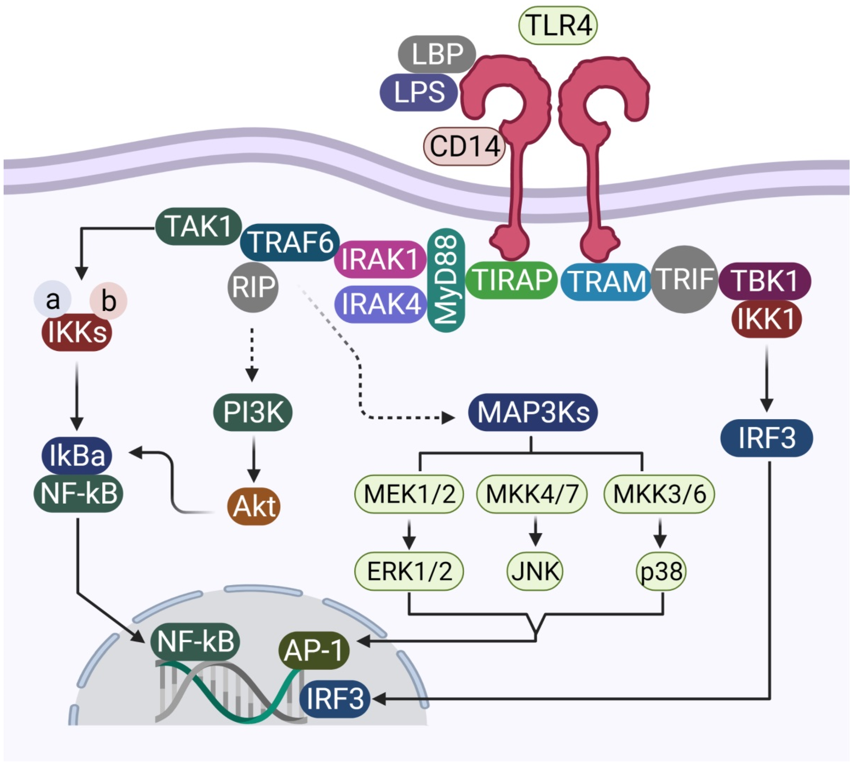 Brainsci 11 01373 g002 550